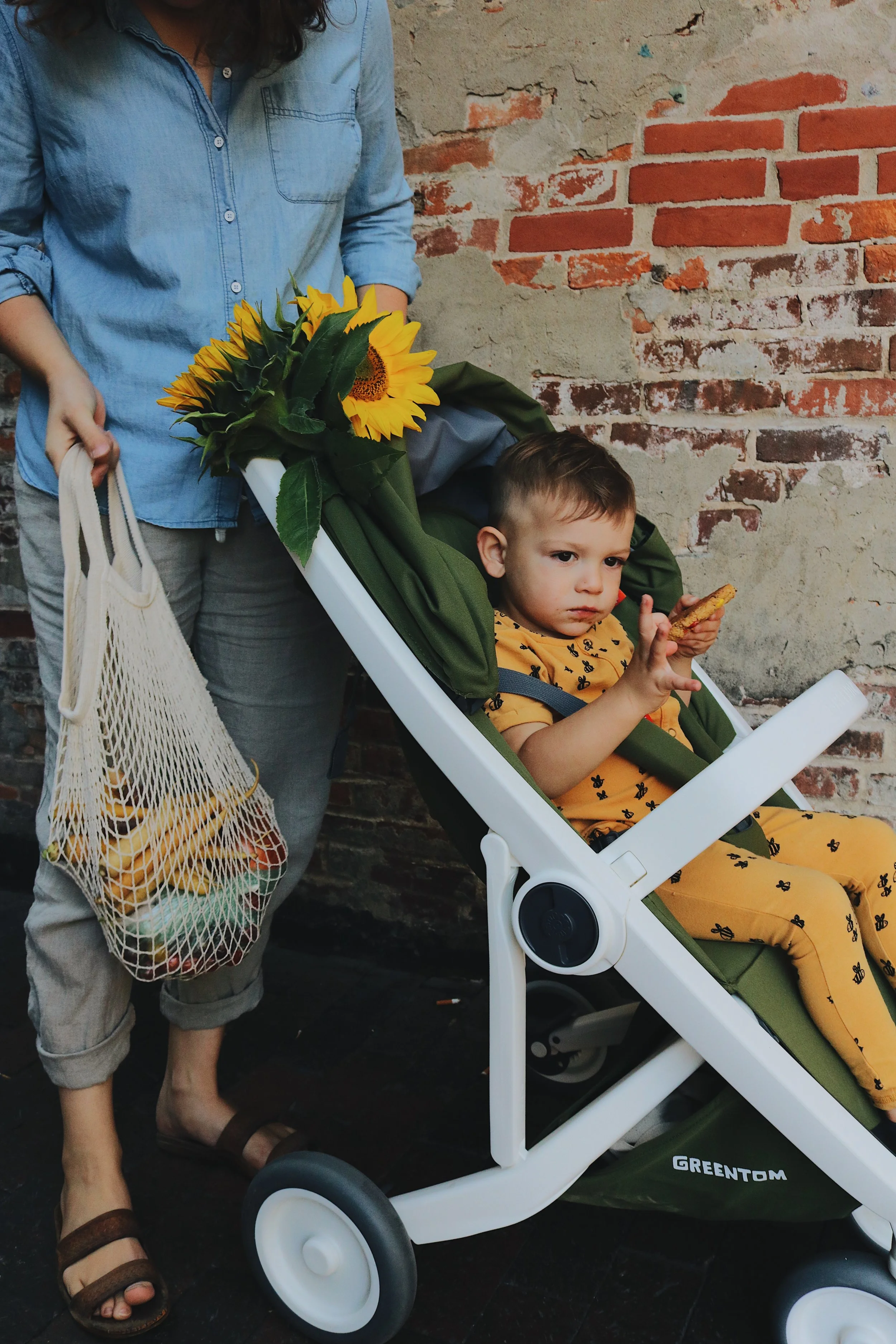 greentom stroller price