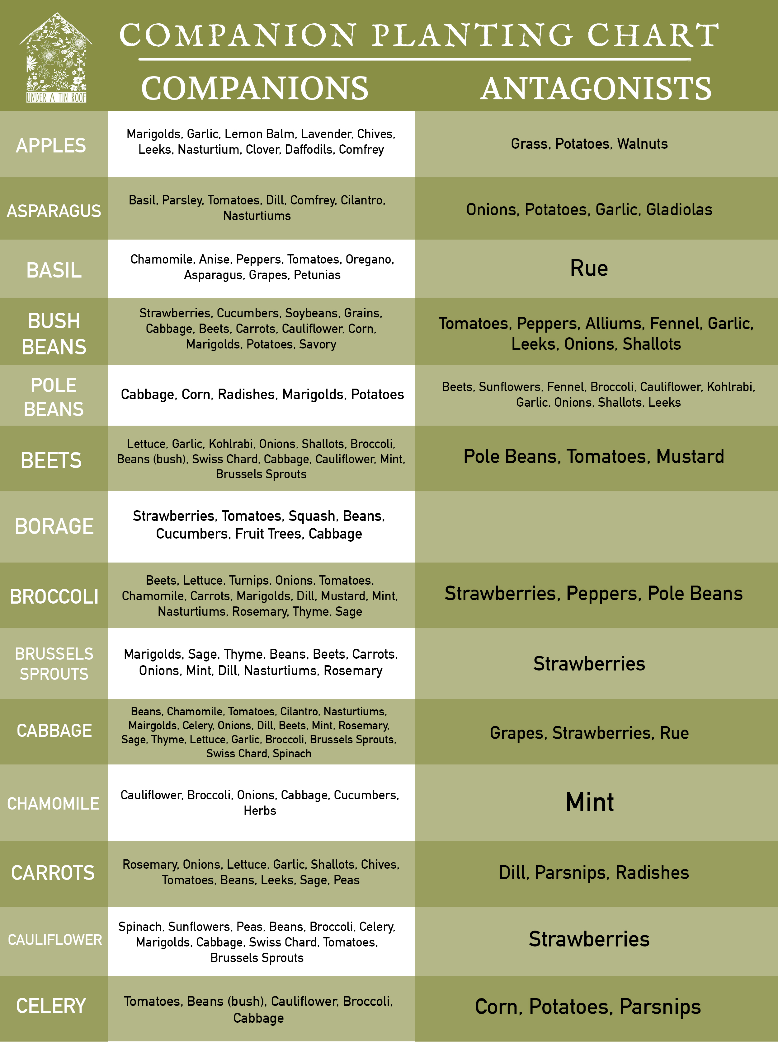 Kale Companion Planting Chart