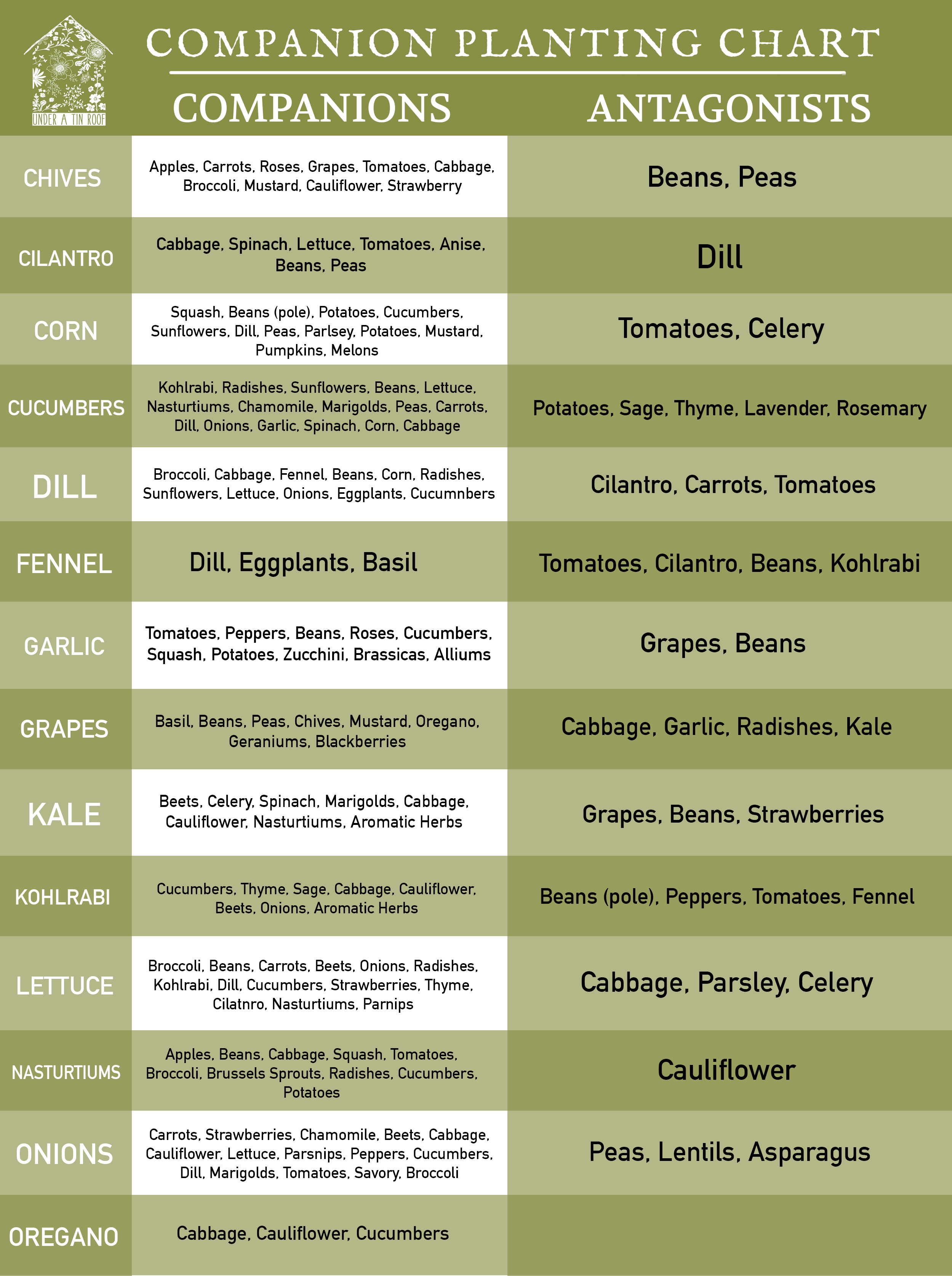 Herb Companion Planting Chart