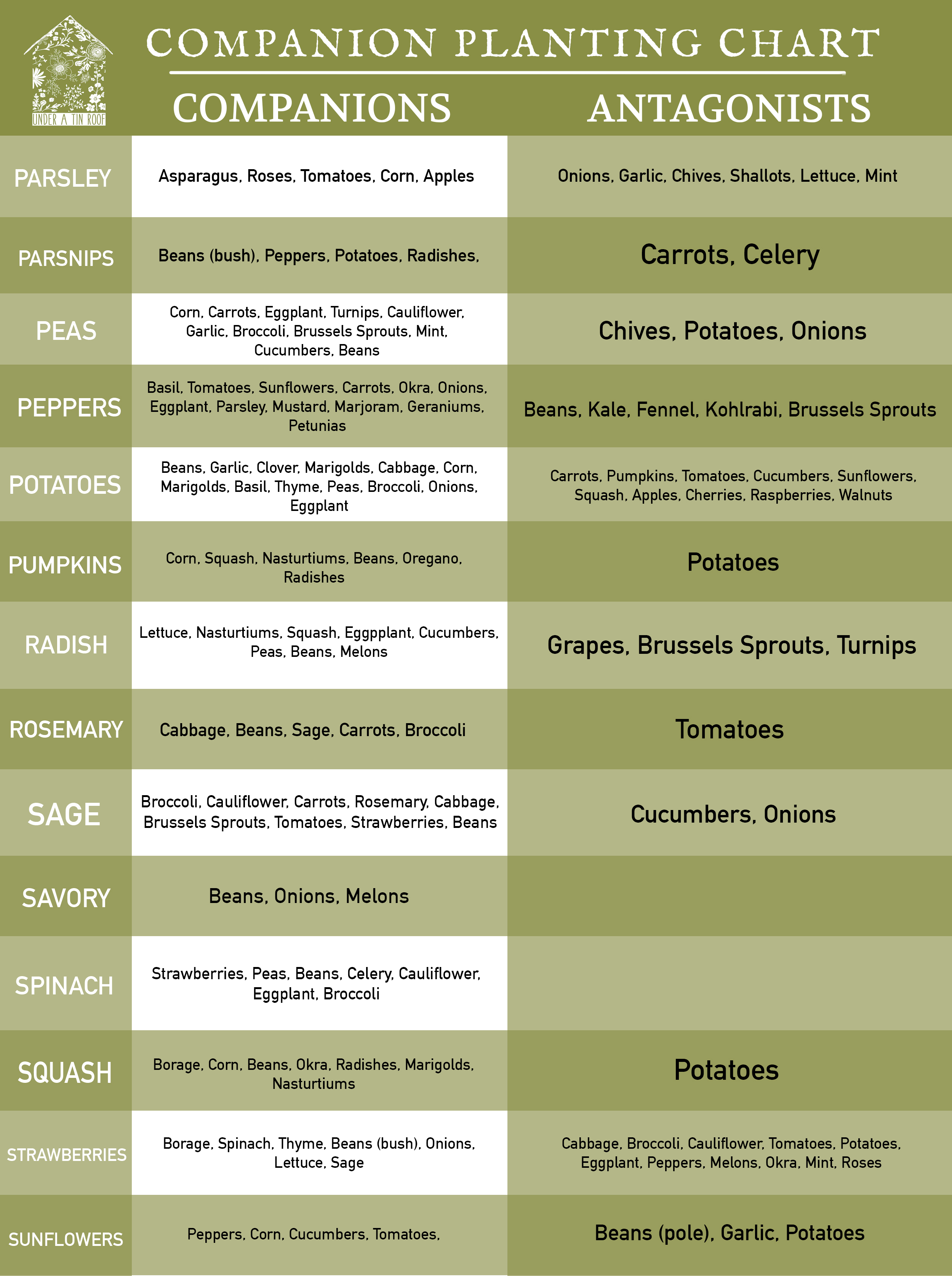 Companion Planting Chart For Okra