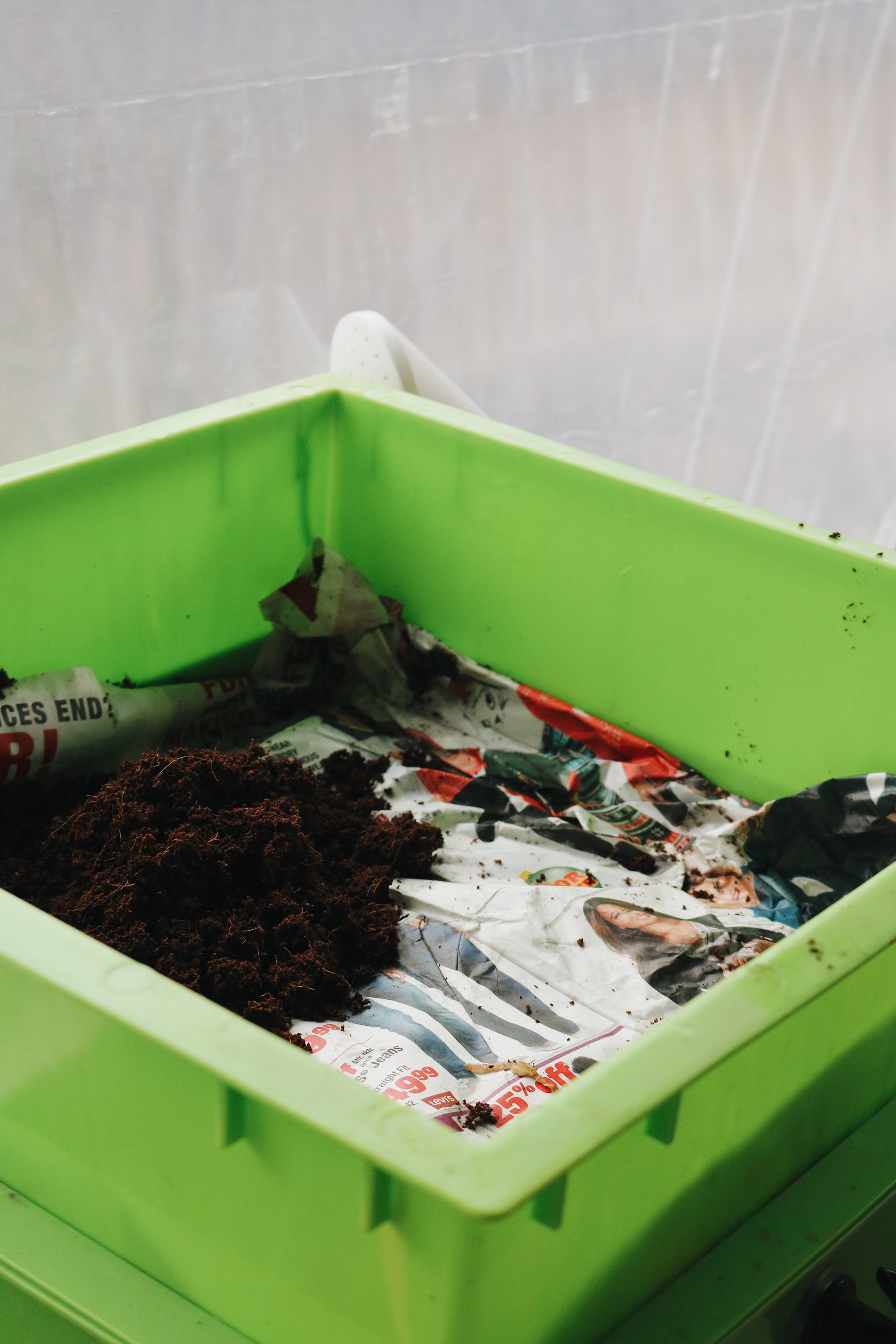 How To Start A Worm Compost Bin Under A Tin Roof