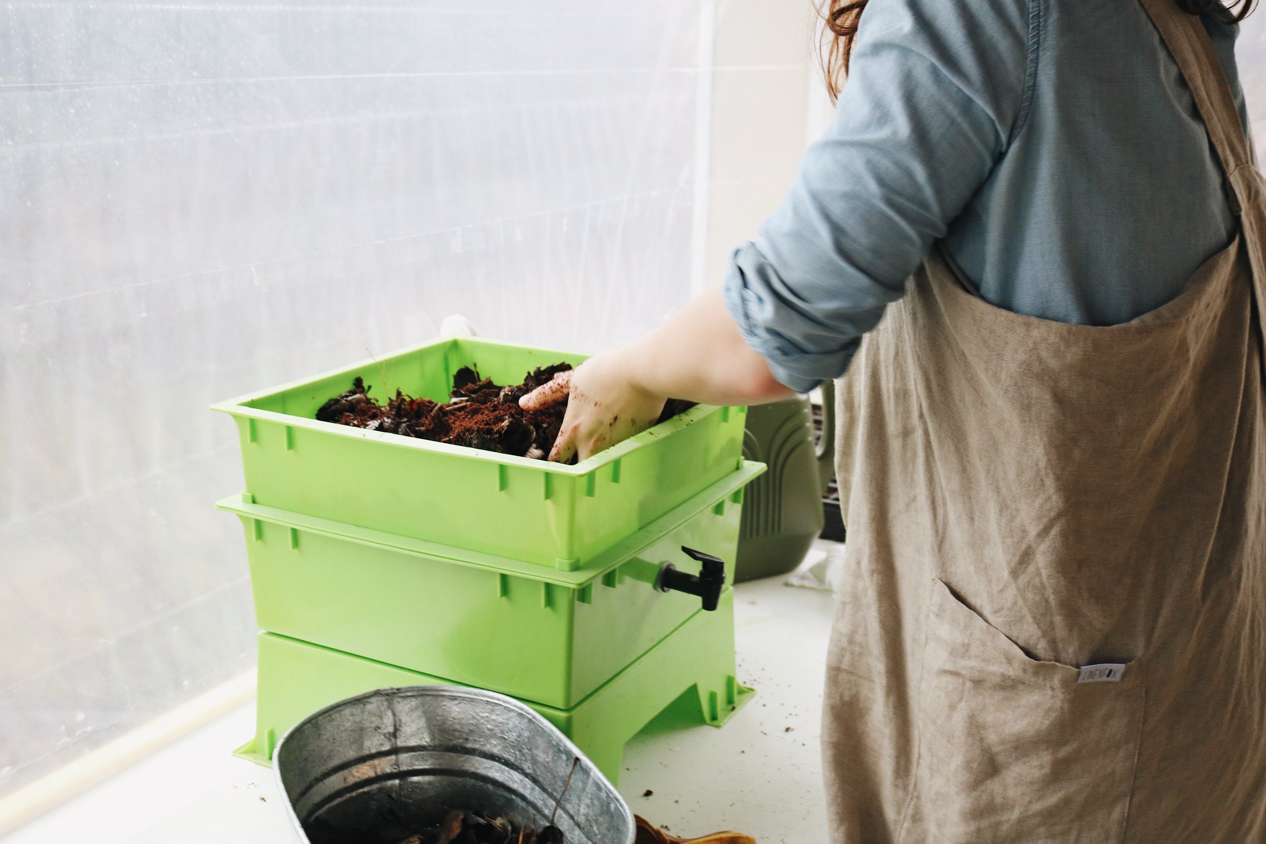 How To Start A Worm Compost Bin Under A Tin Roof
