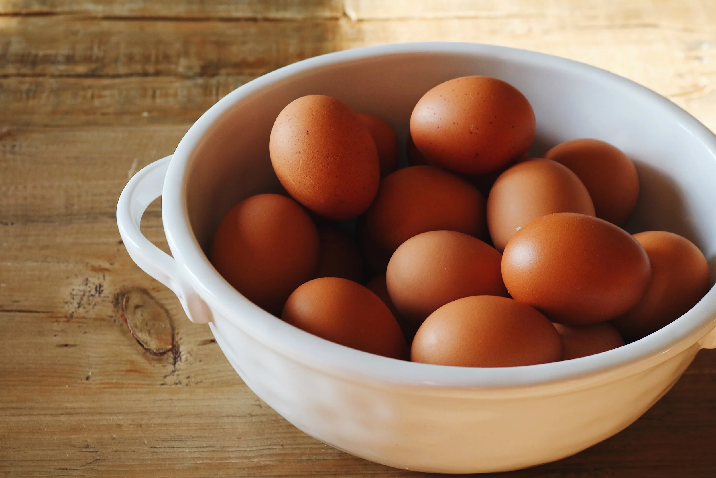 How To Store Fresh Eggs Under A Tin Roof