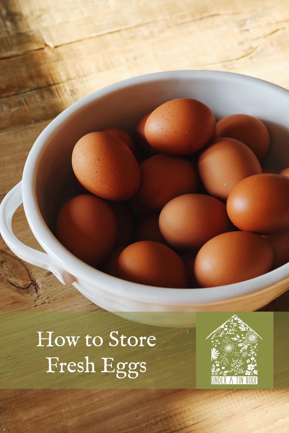 How To Store Fresh Eggs Under A Tin Roof