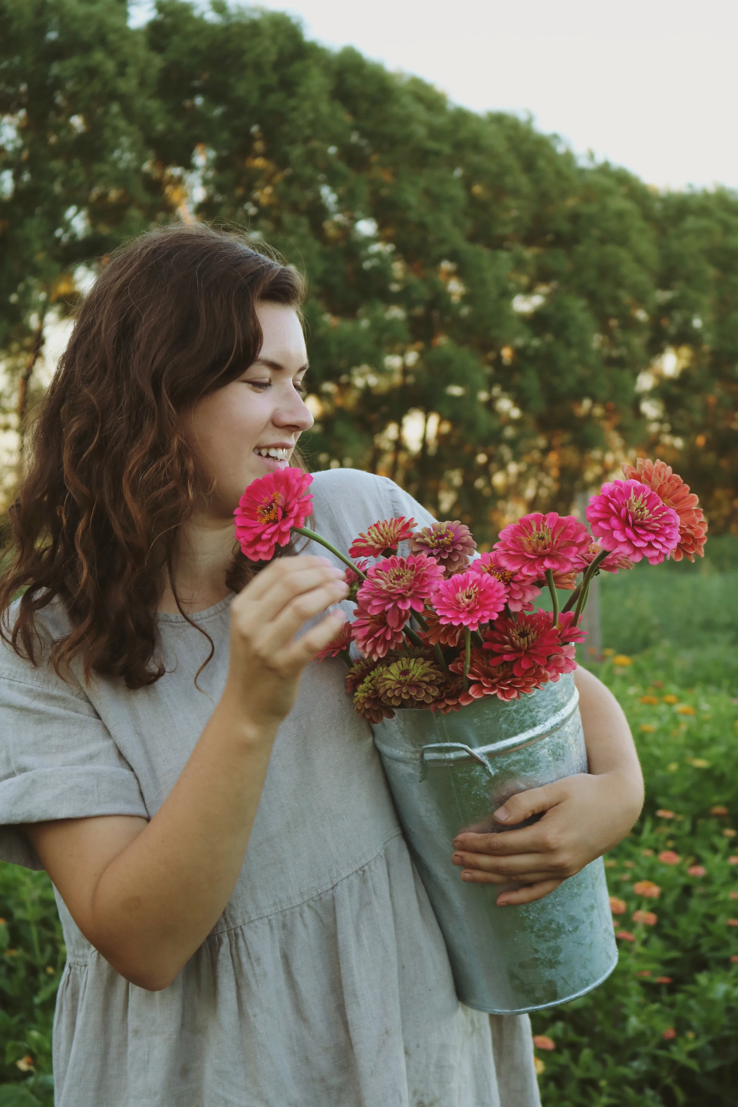 zinnia25.jpeg