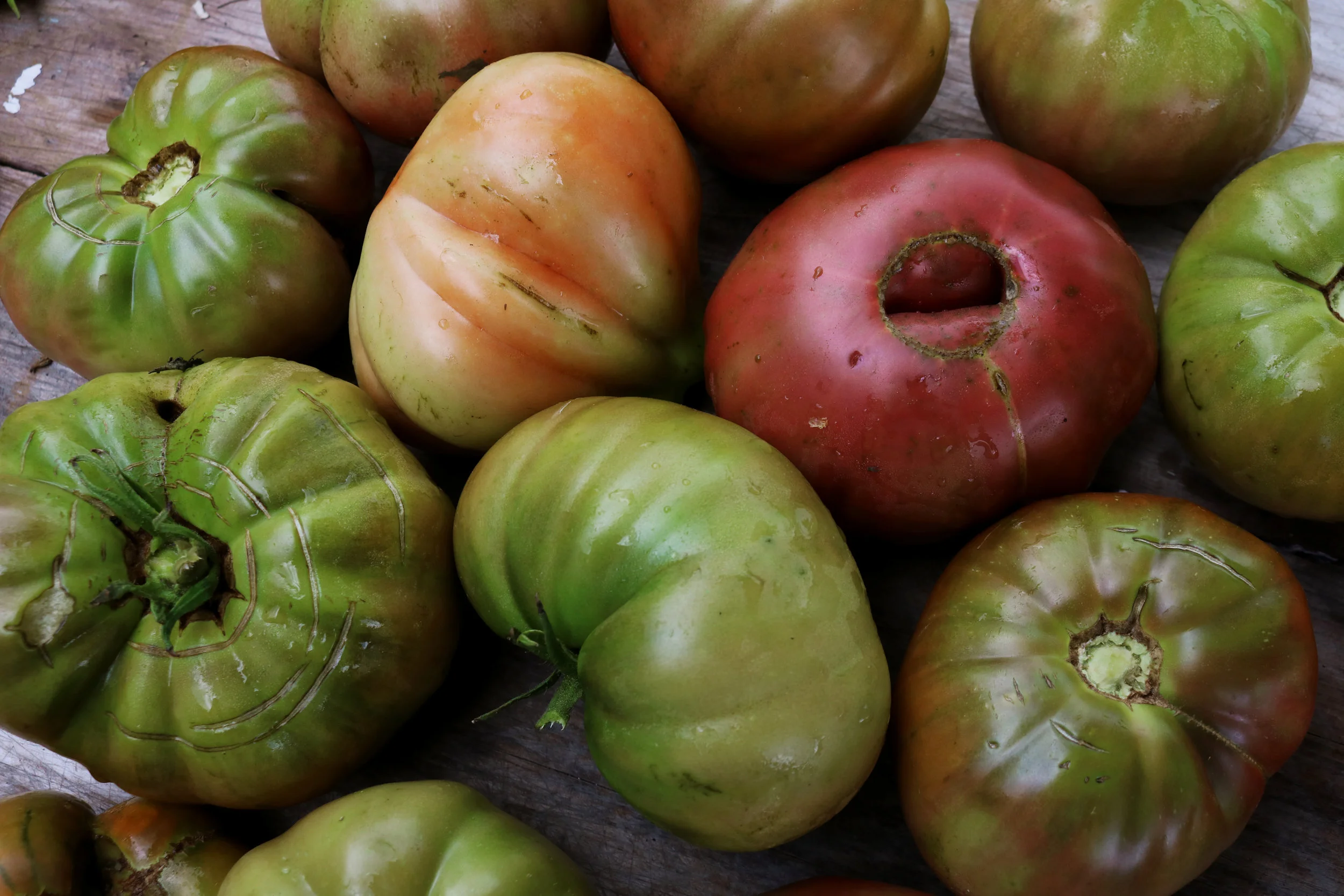 tomatoes1.jpg