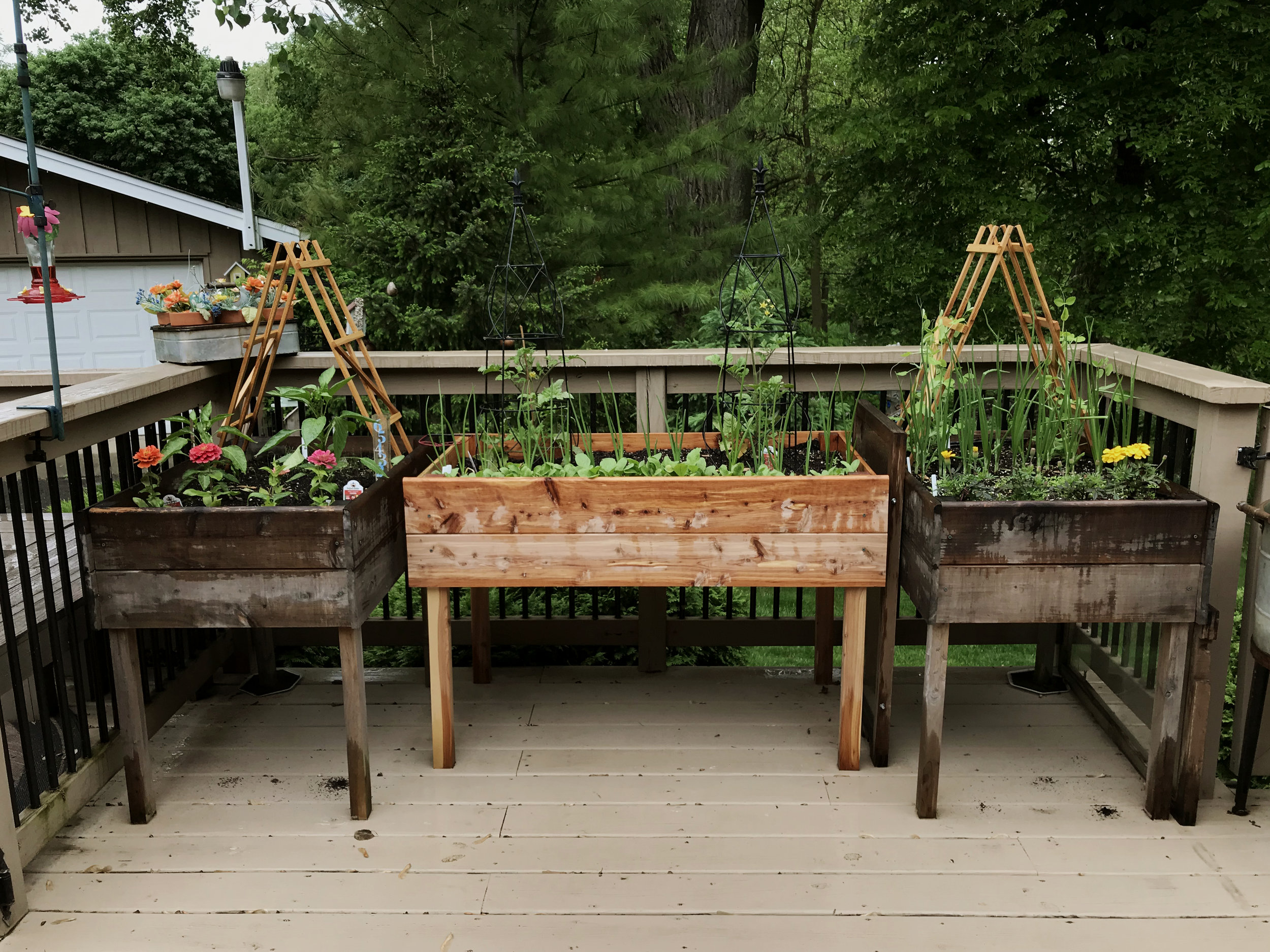 Visiting My Grandma's Porch Vegetable Garden — Under A Tin Roof™