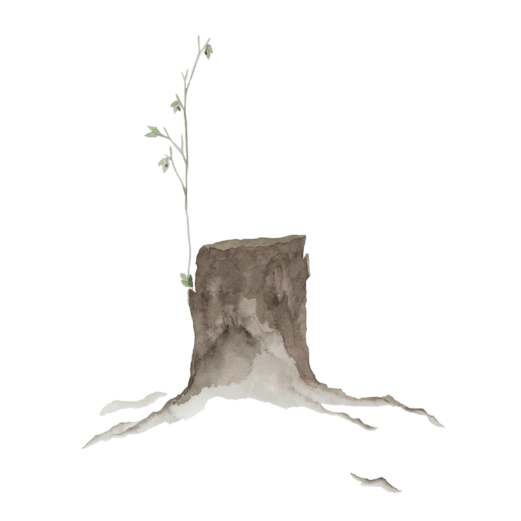 stump thumb.png