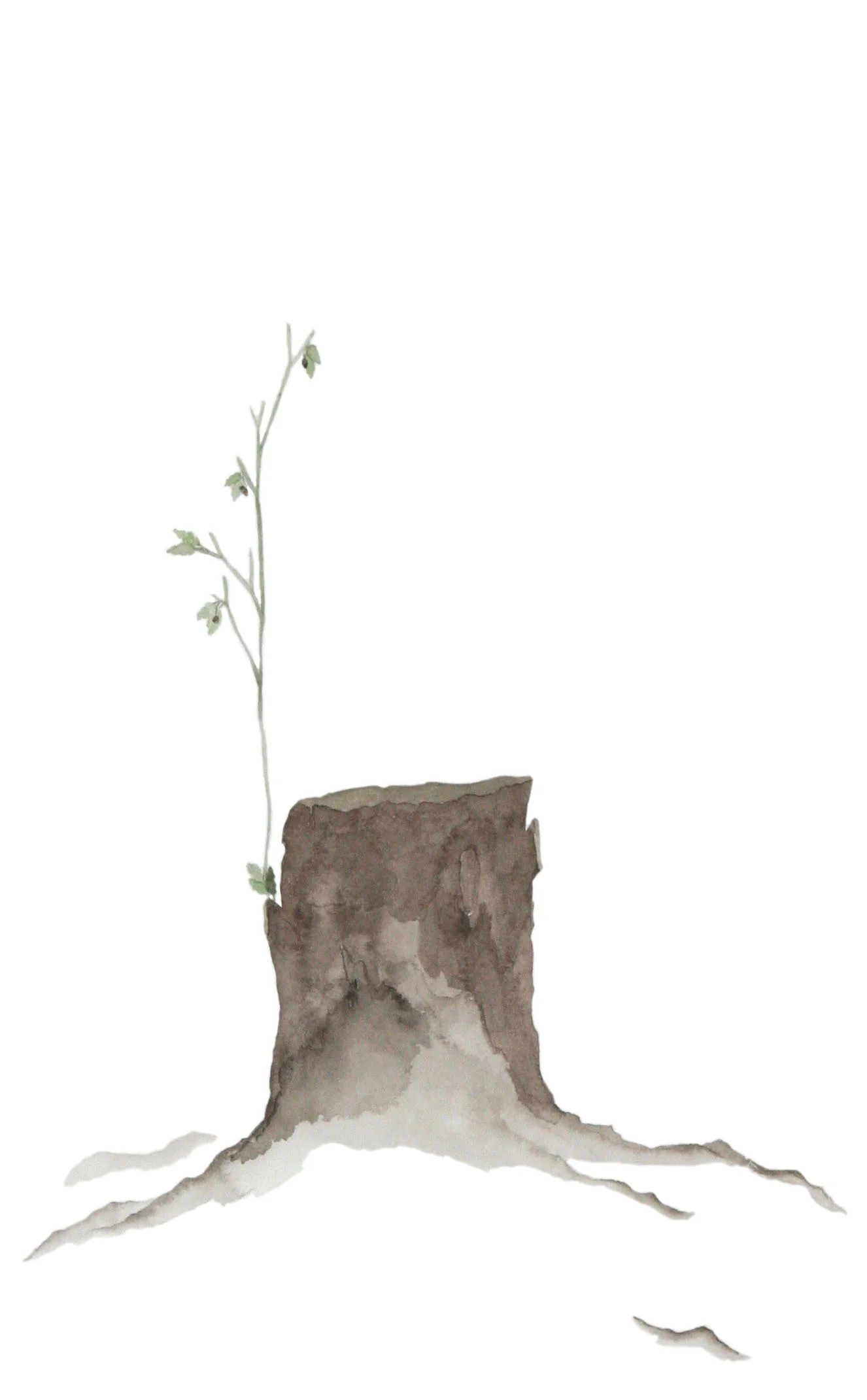 stump clean.jpg