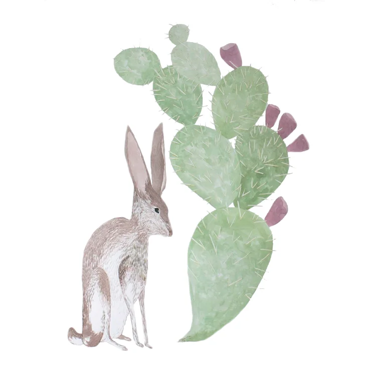 rabbit prickly pear thumb.jpg