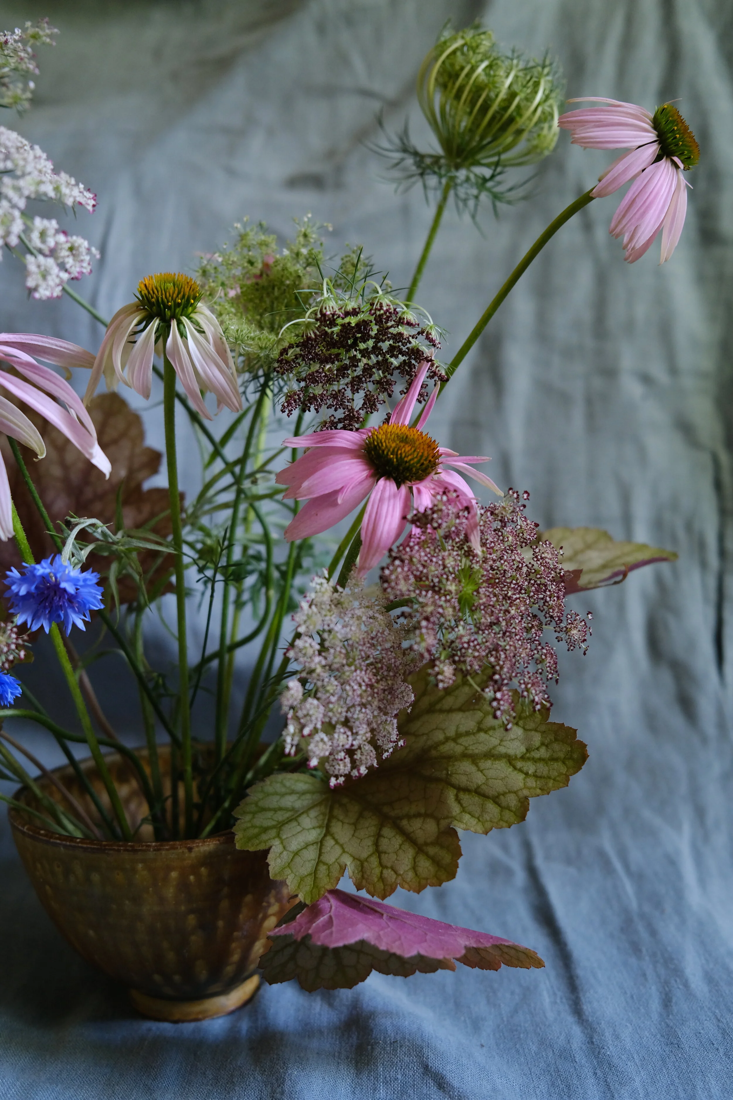 DSCF6439.JPG
