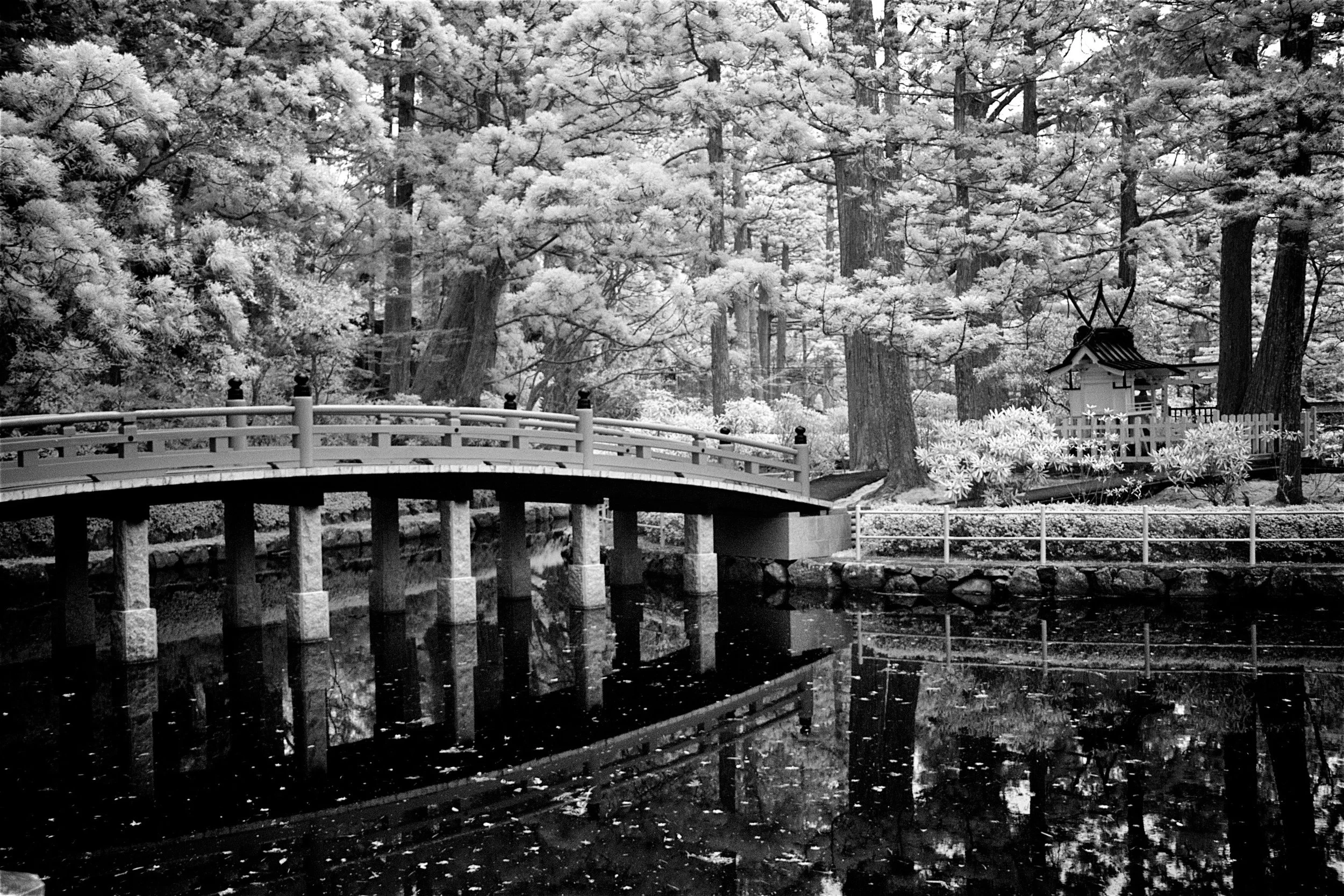 Shrine Bridge - Mount Koya, Japan
