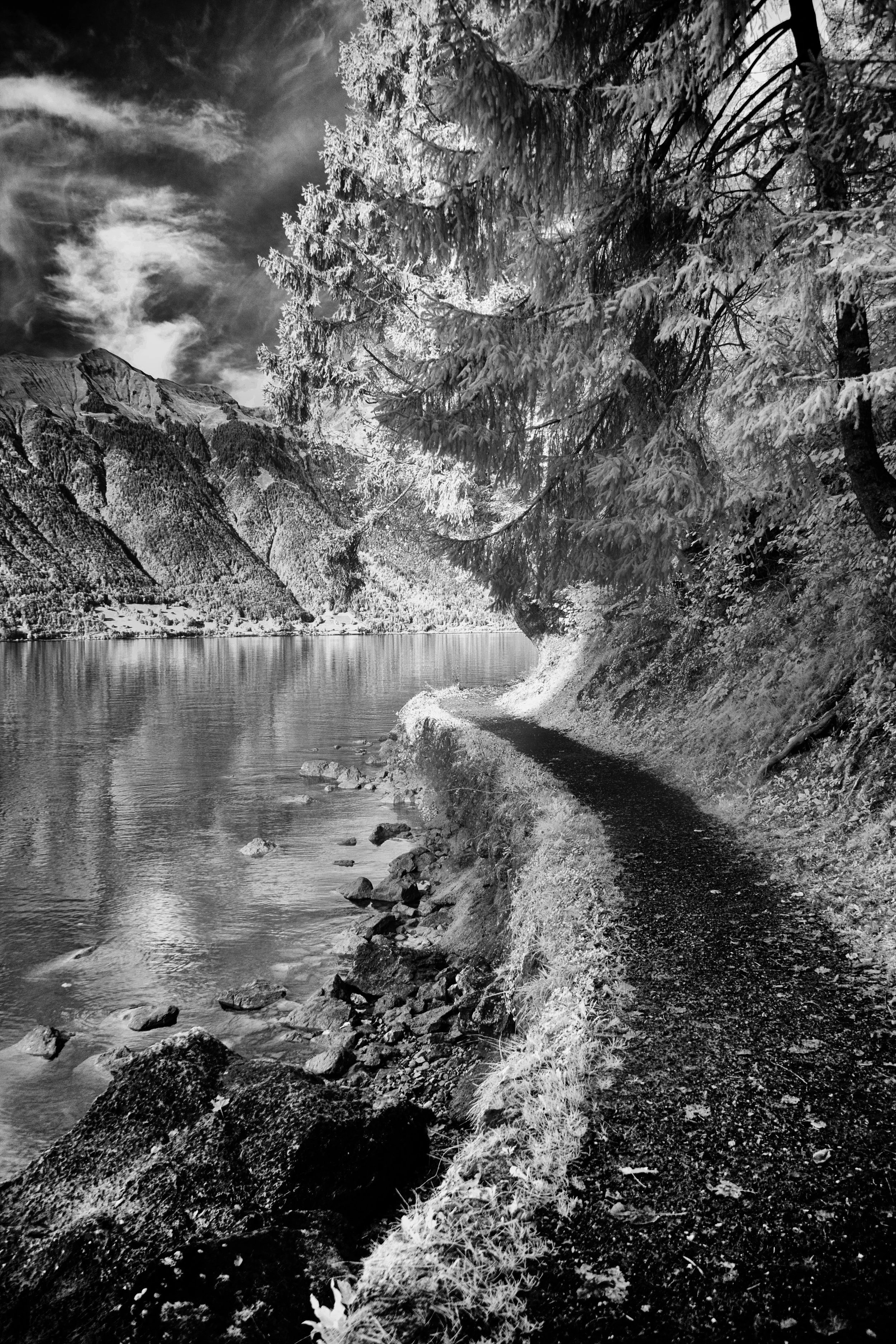 Walk to Brienzerzee - Interlaken, Switzerland