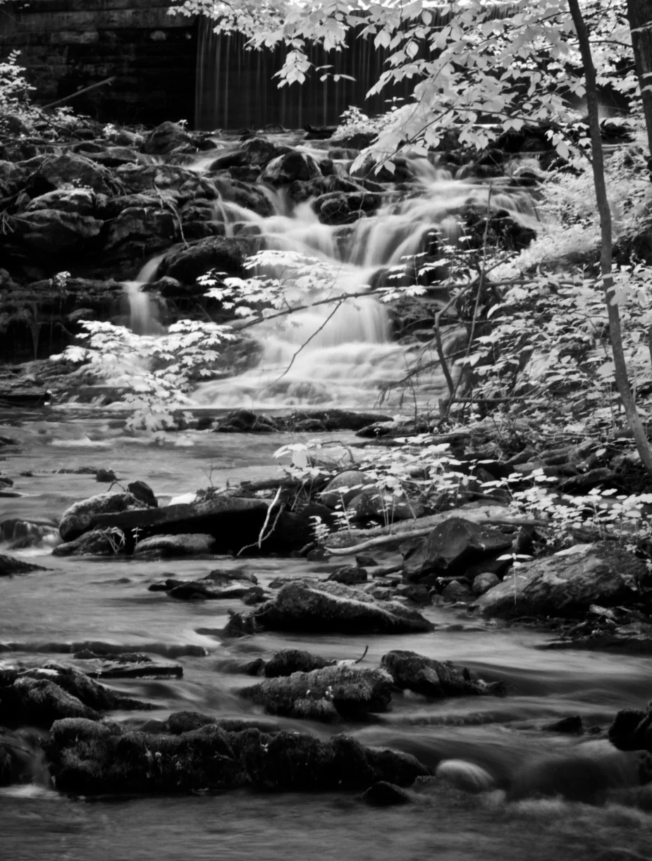 The Path of Water - Rhinebeck, NY