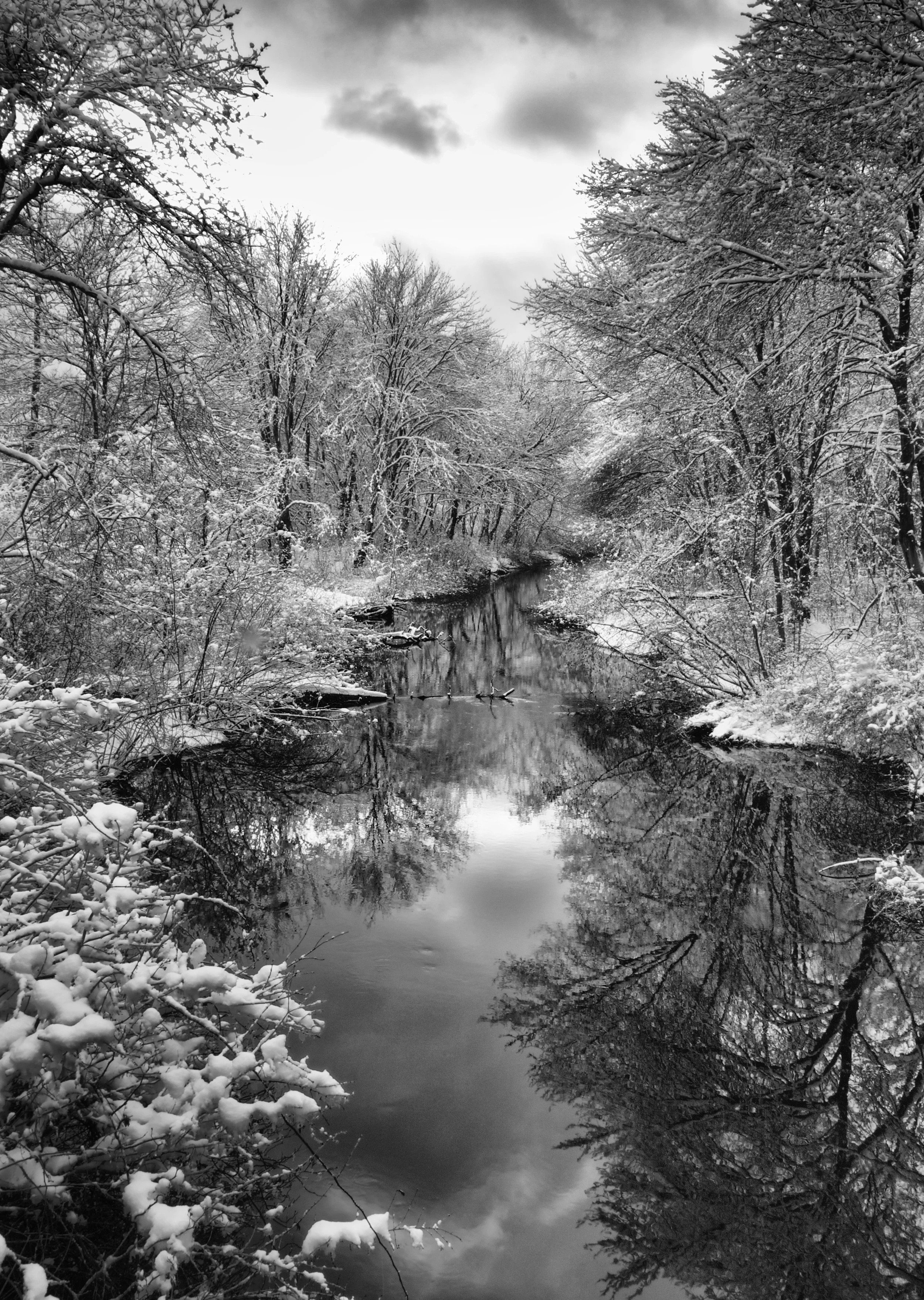After the Storm - Northborough, MA