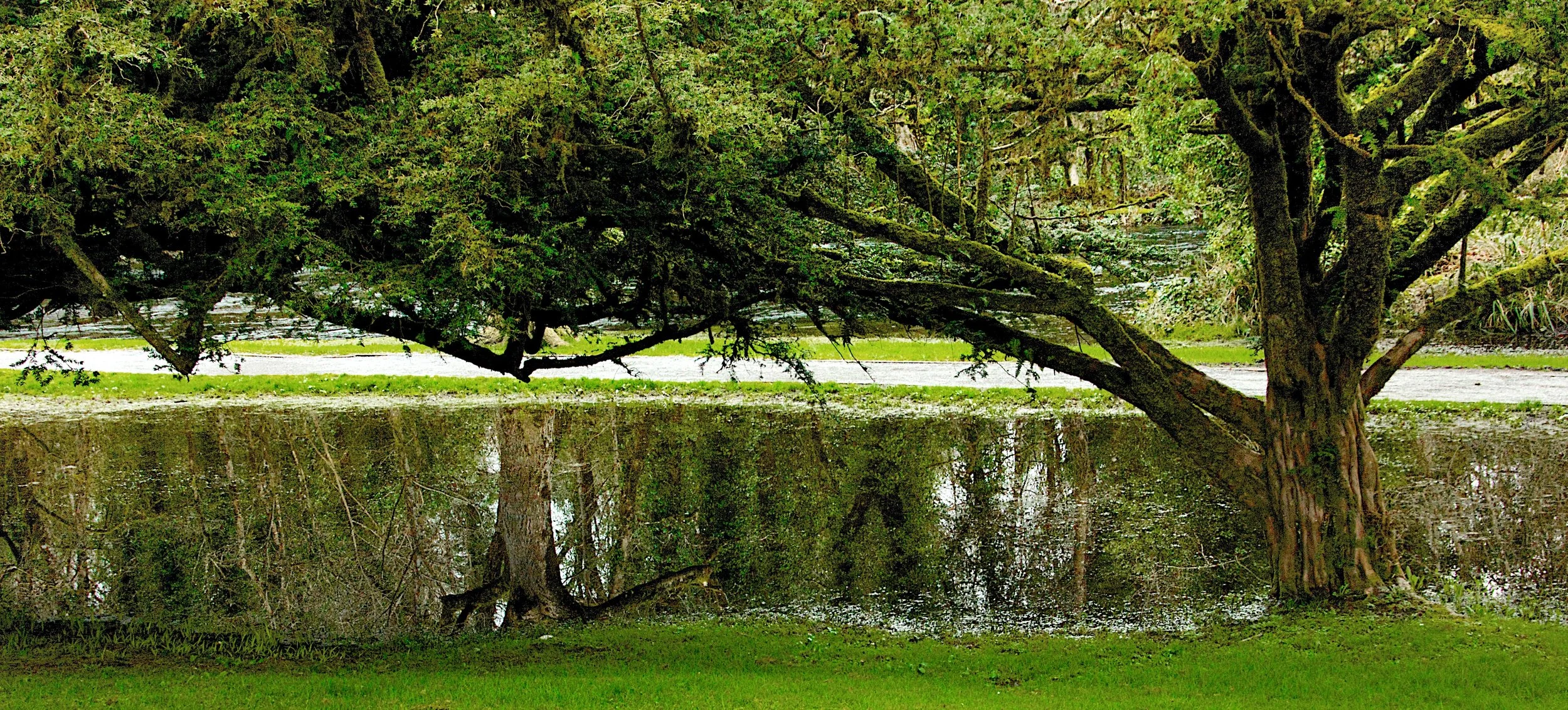 The Reflection - Westport, Ireland