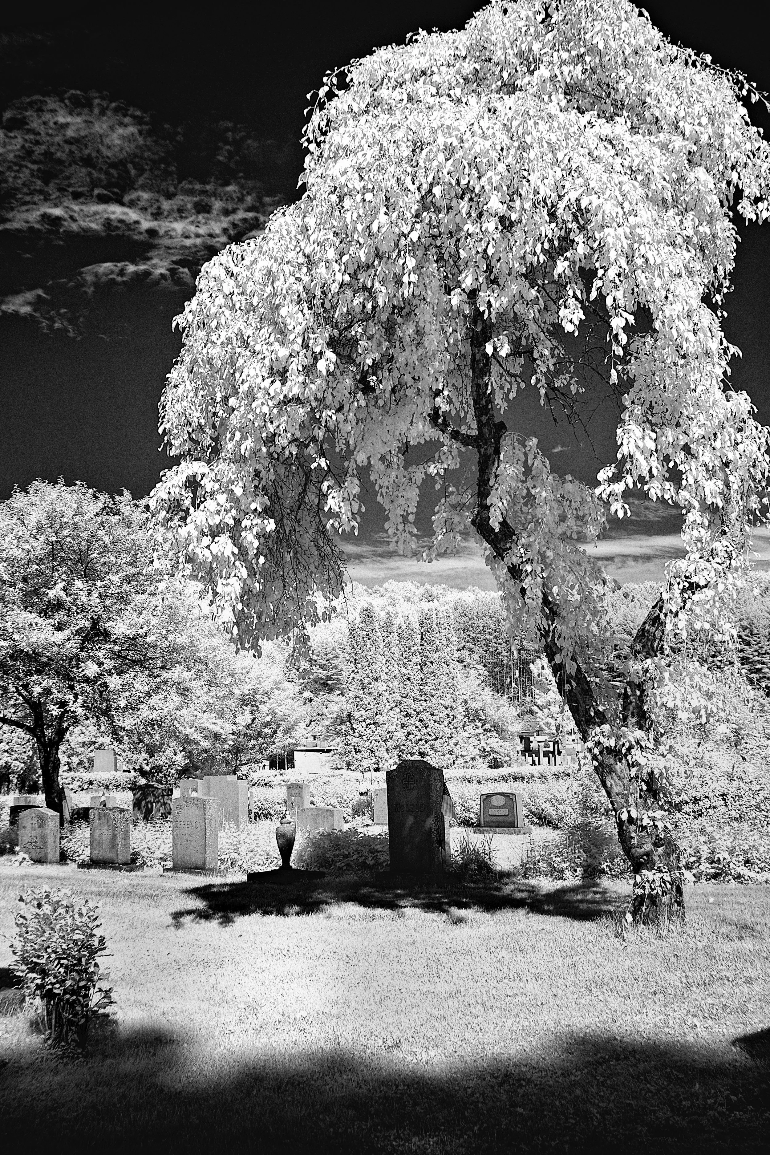 The Last Resting Place - Barre, VT