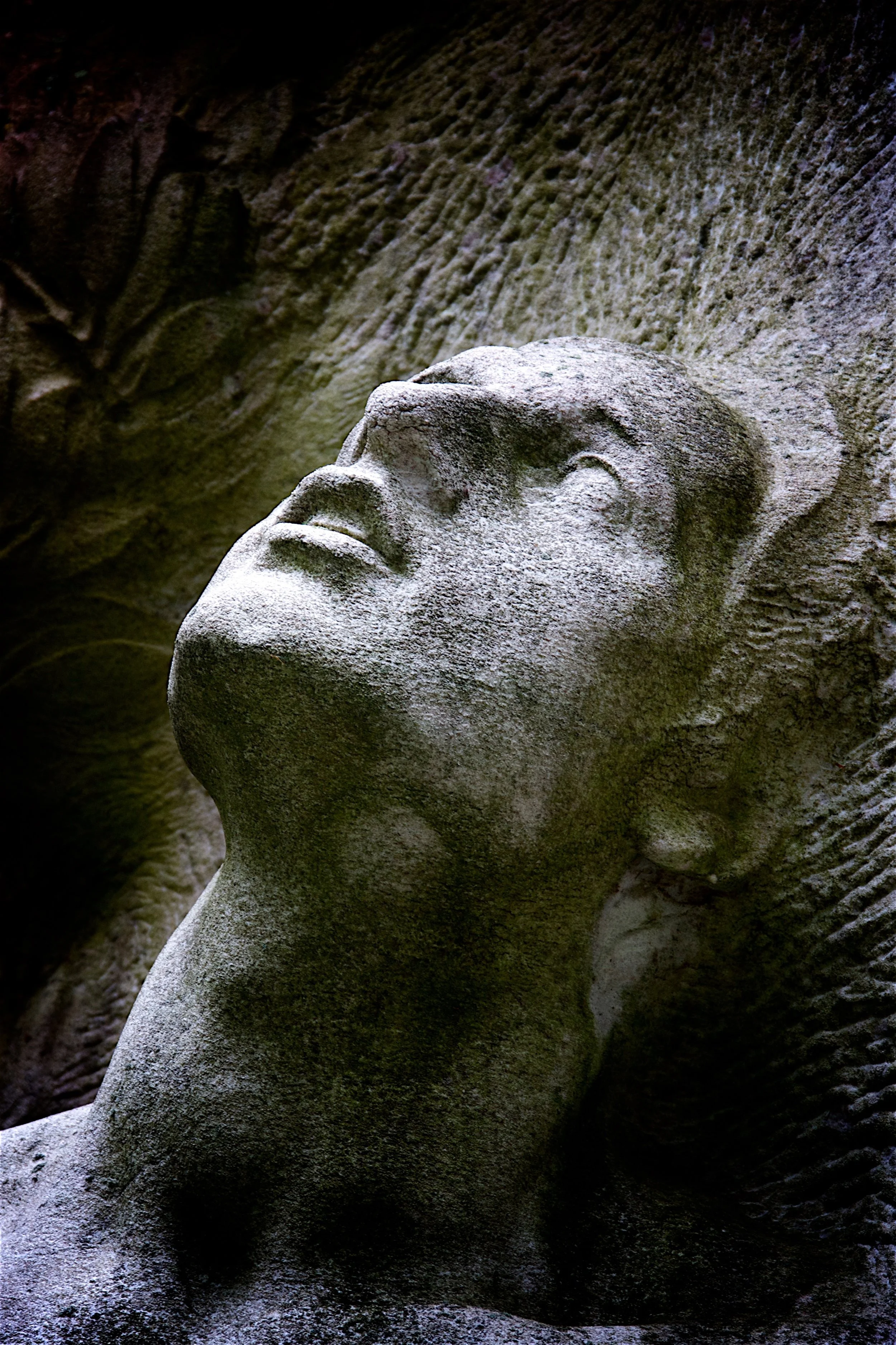 Gazing Upward - Sleepy Hollow, NY