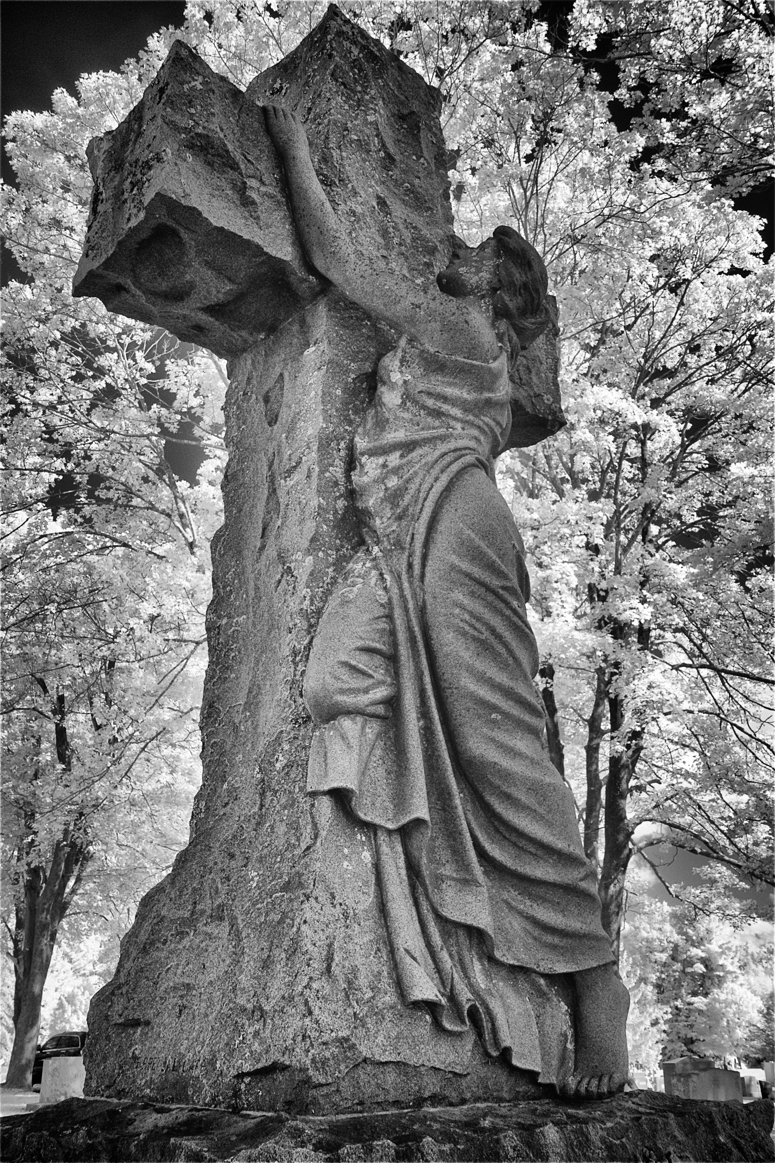 Clinging - Lenox, MA