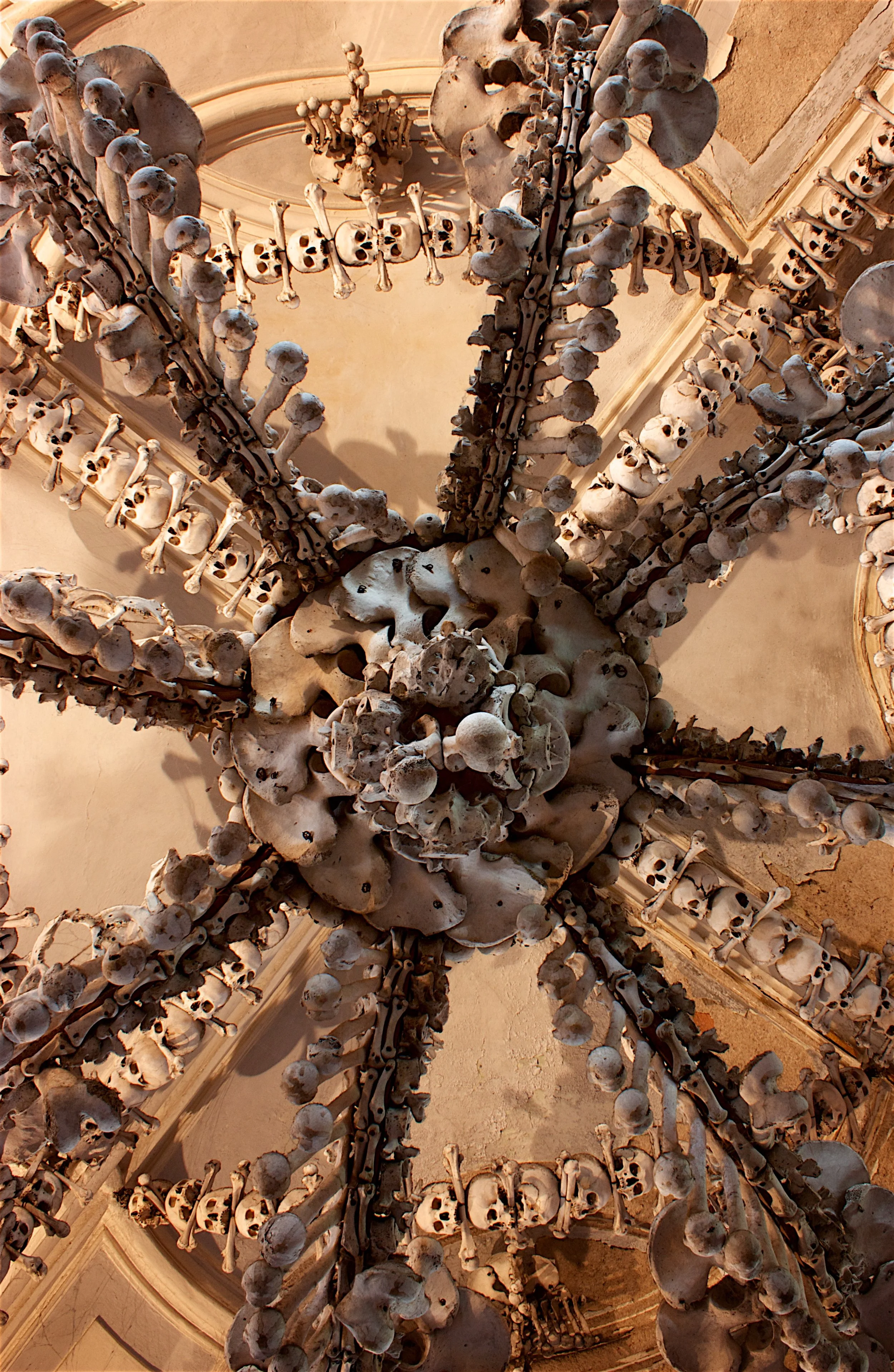 Bones 6 - Kutna Hora, Czech Republic