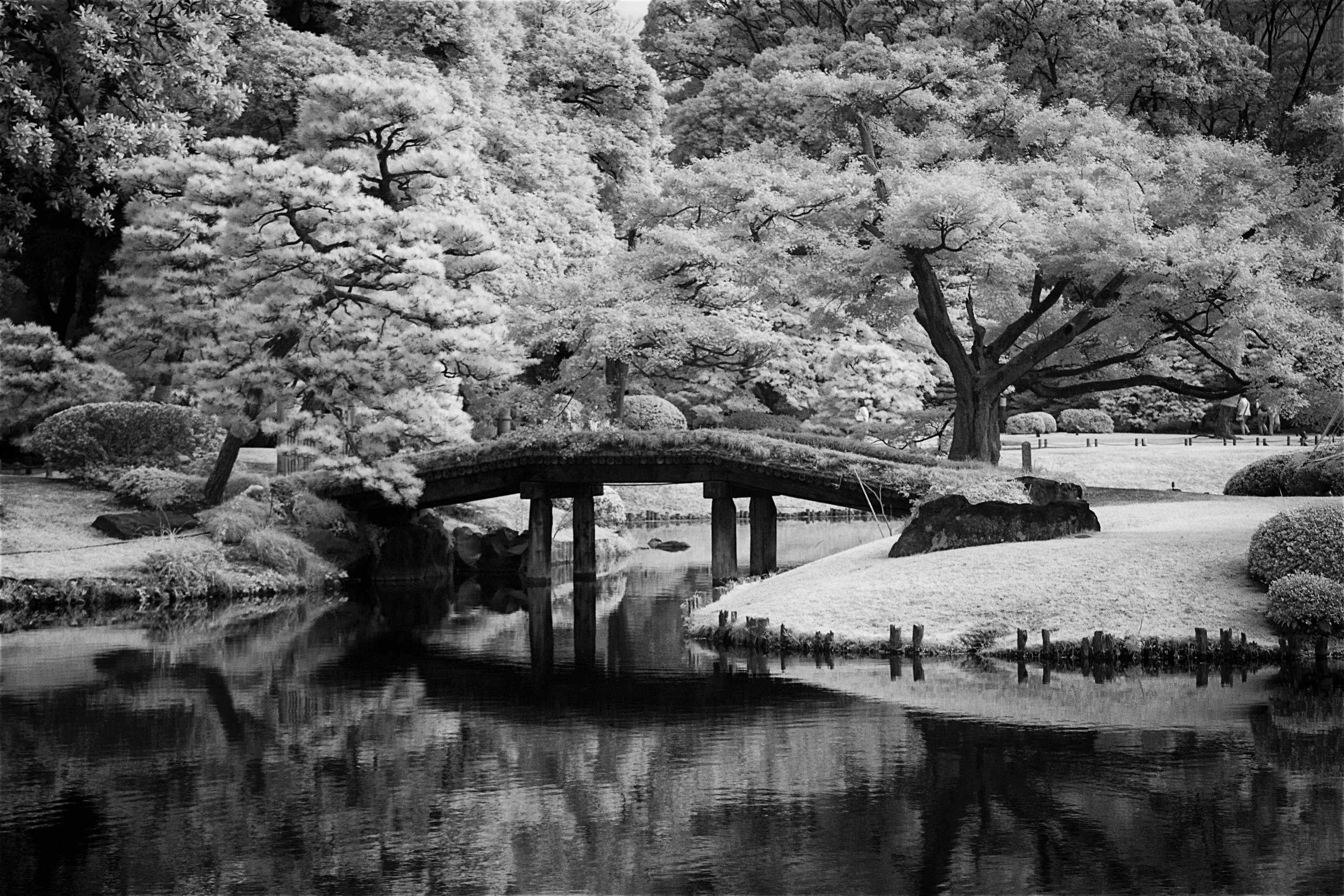 Garden Bridge - Tokyo, Japan