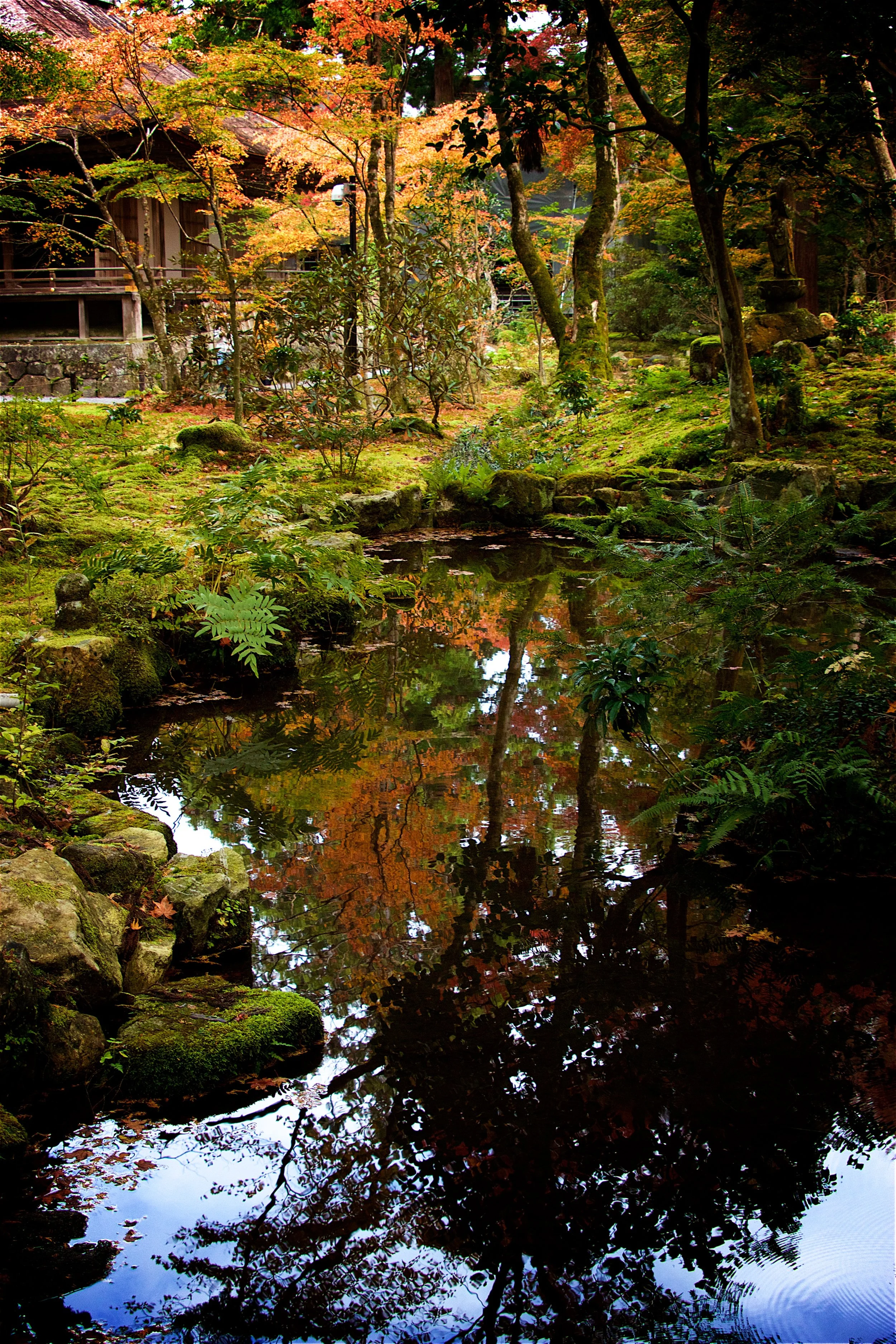 Autumn Reflection - Kyoto, Japan