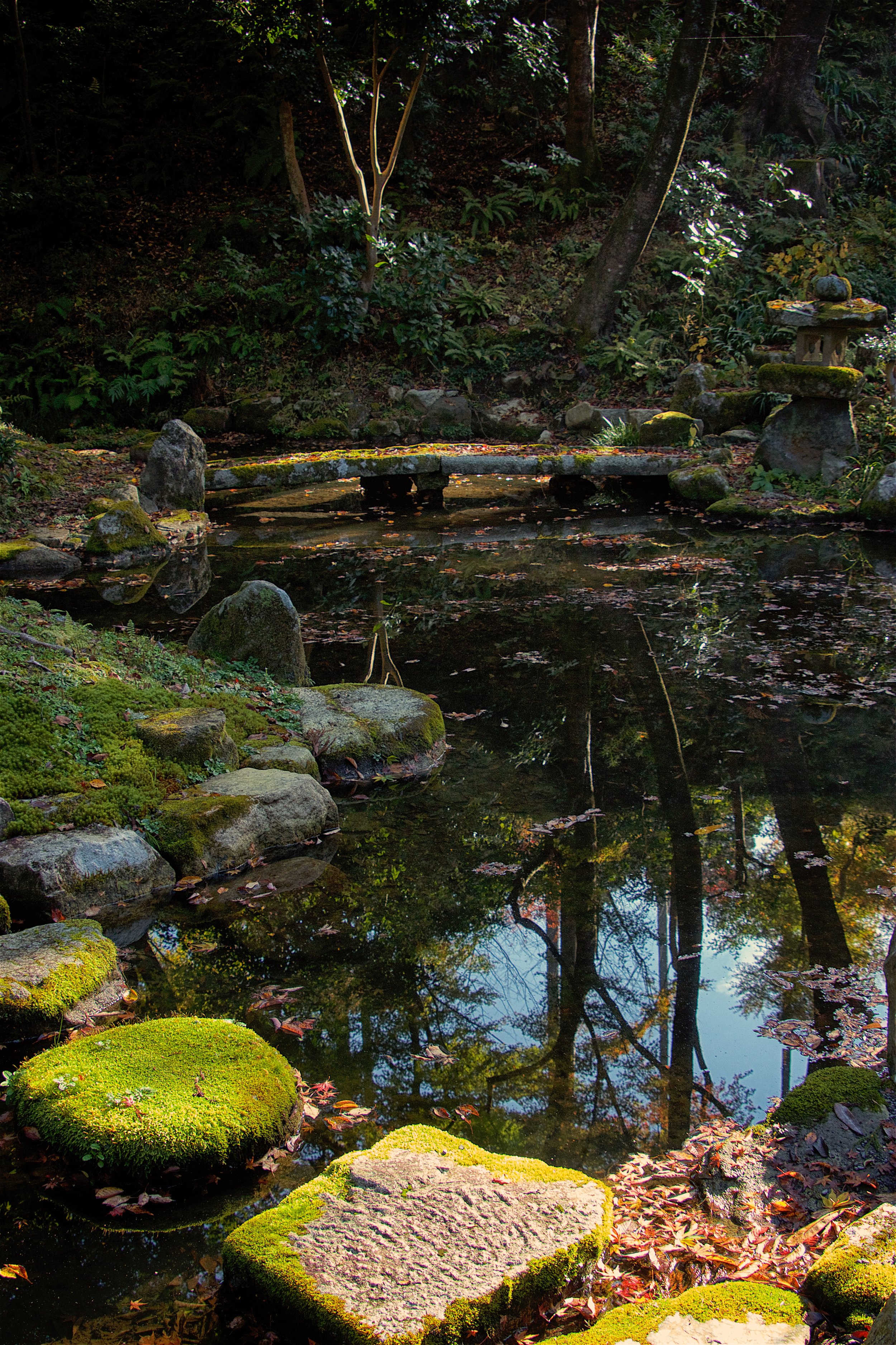 Garden Path - Kyoto, Japan