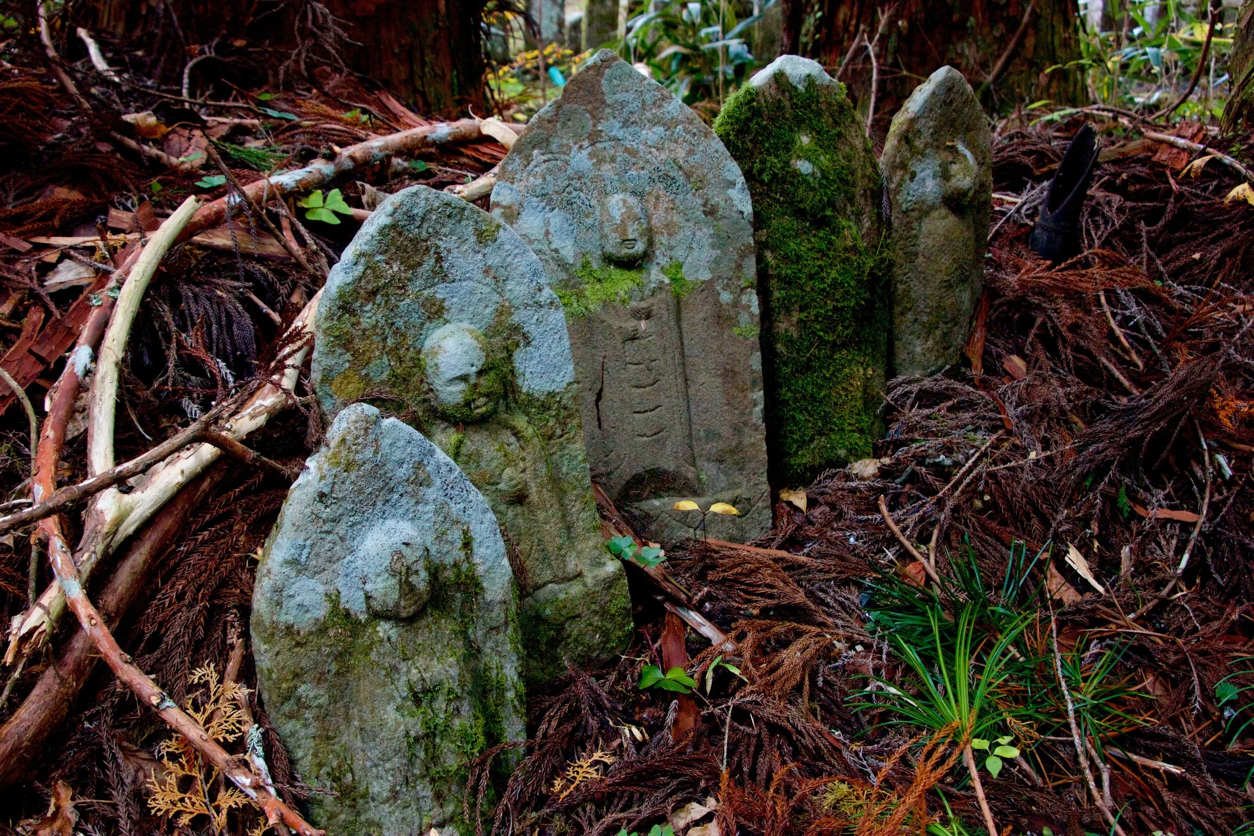 Forest Buddhas - Mount Koya, Japan
