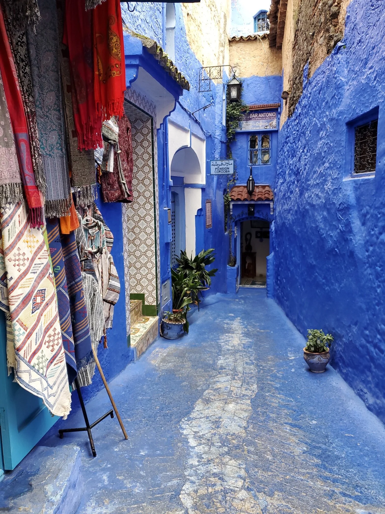 The narrow streets of Chefchaouen, Morocco