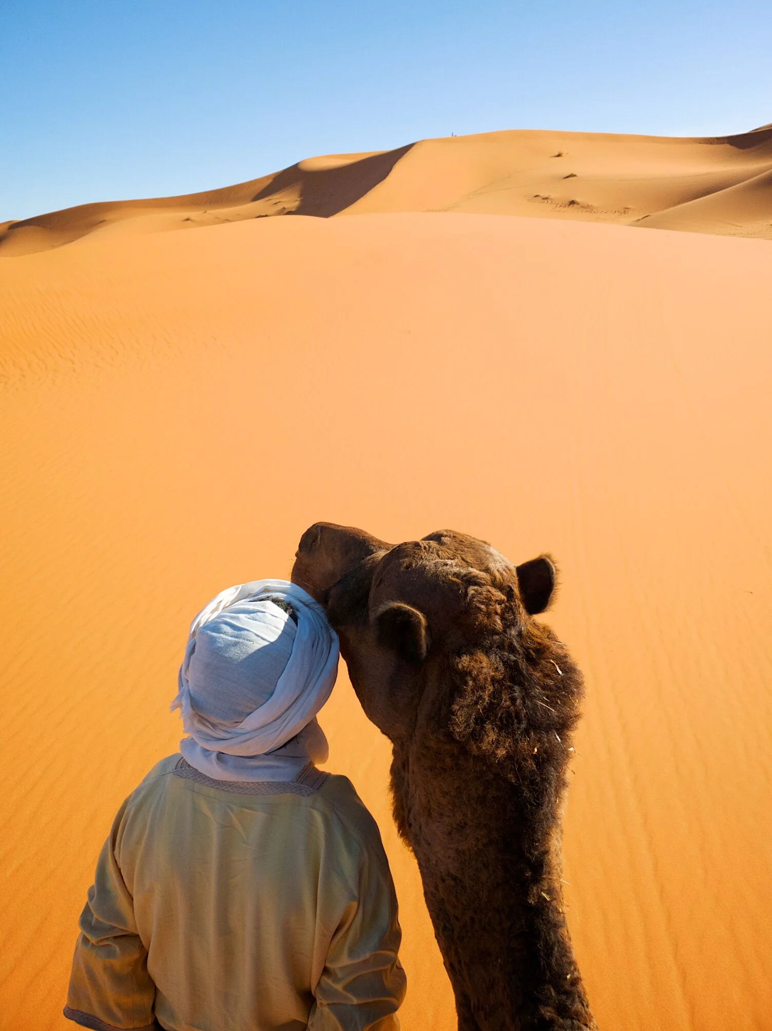 The camel herder, Moroccan desert