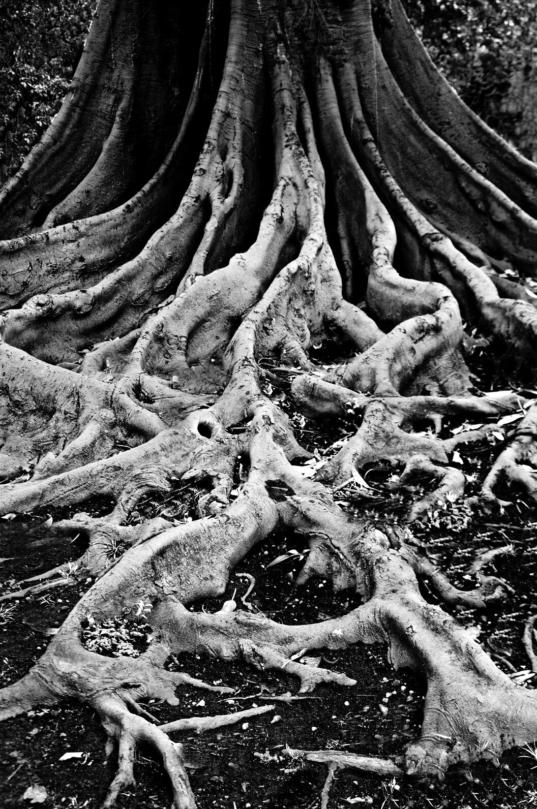 IMG_0156+MU1 1016.jpg