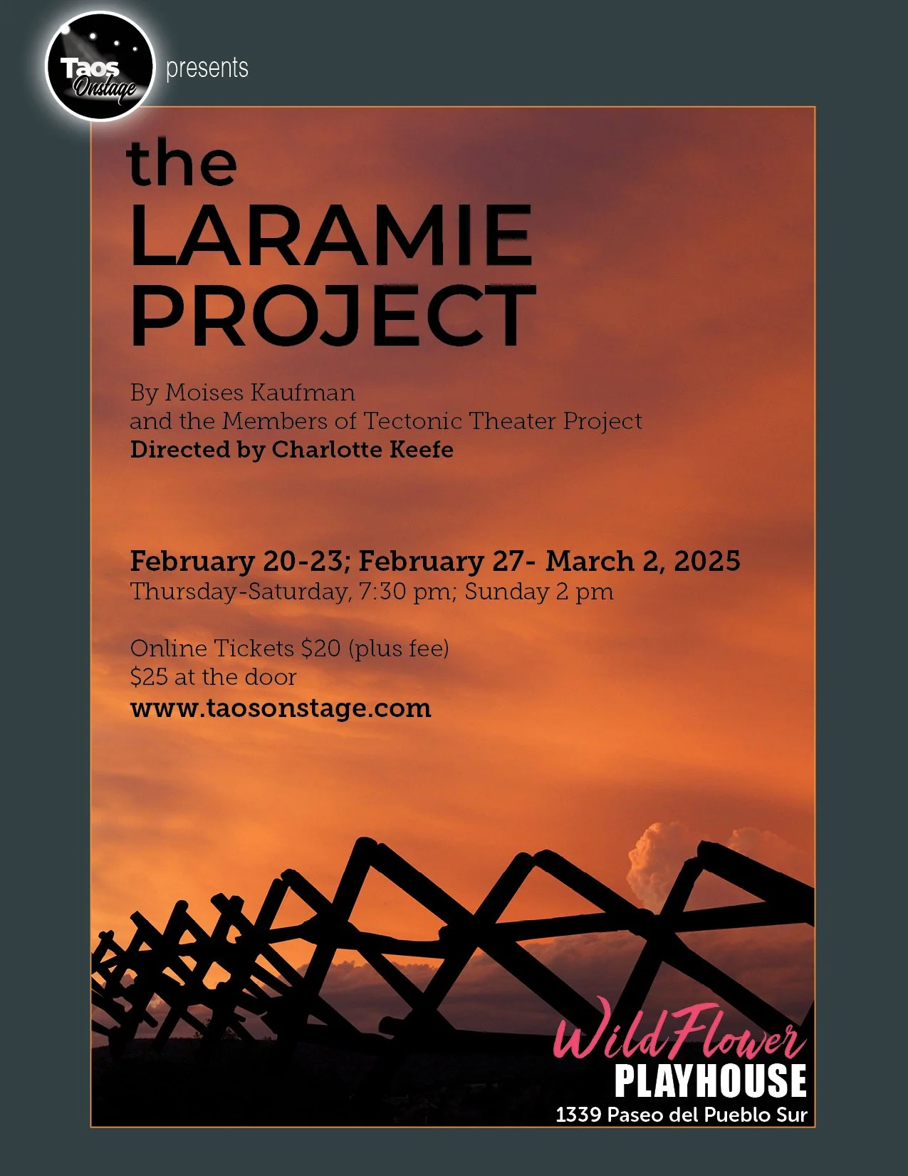 LaramieProjectFlyer.jpeg