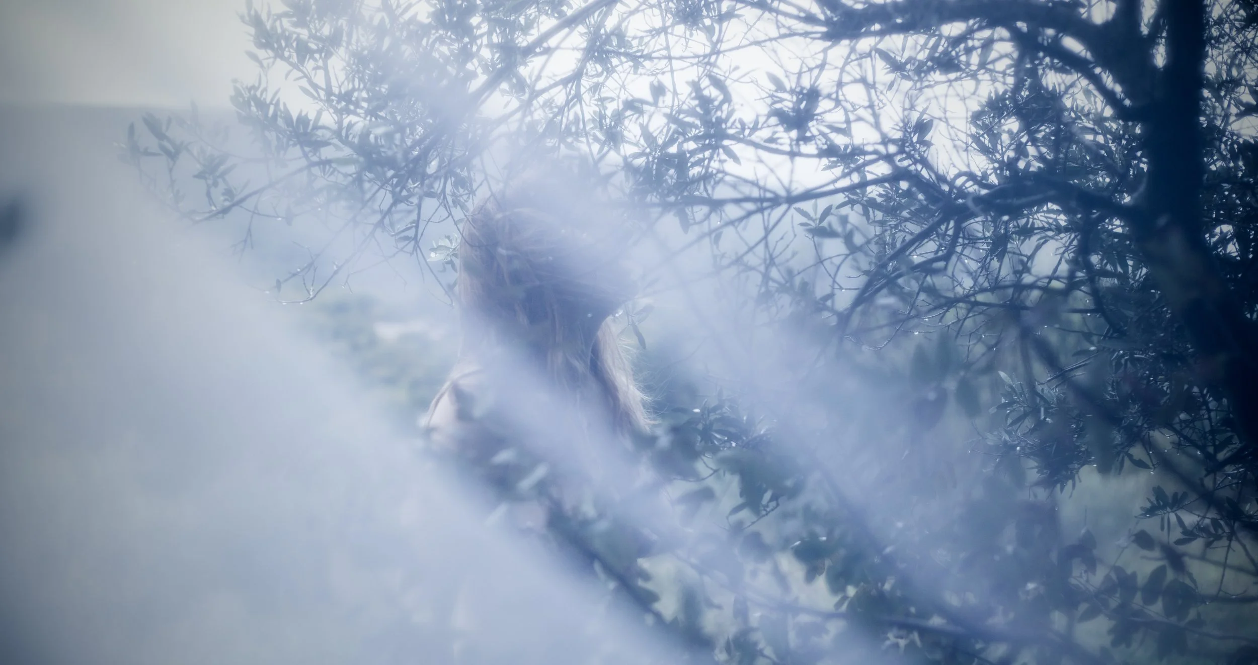 CBSilentRealm-6.jpg