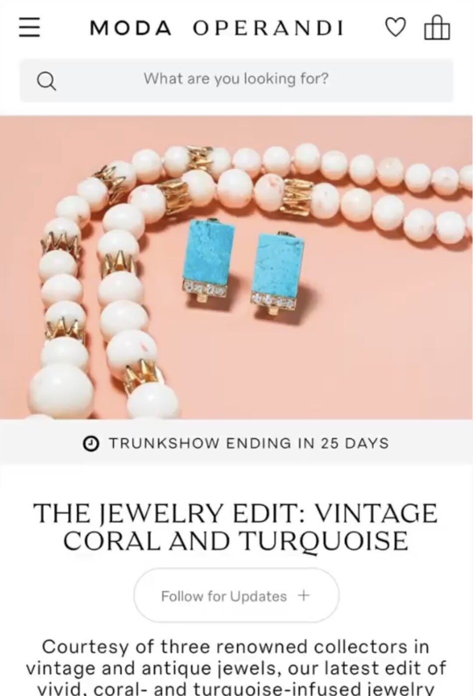 Moda Operandi Sale.PNG