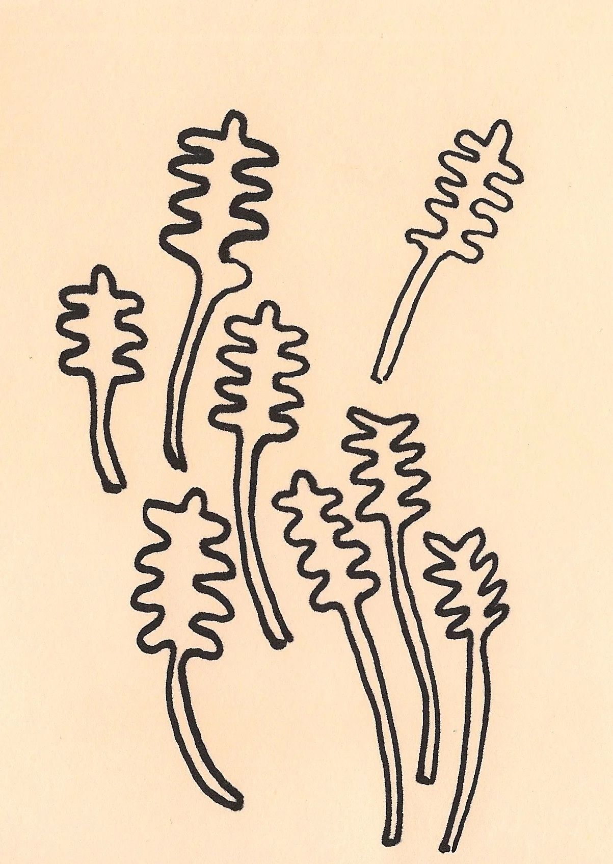Scan 65.jpeg