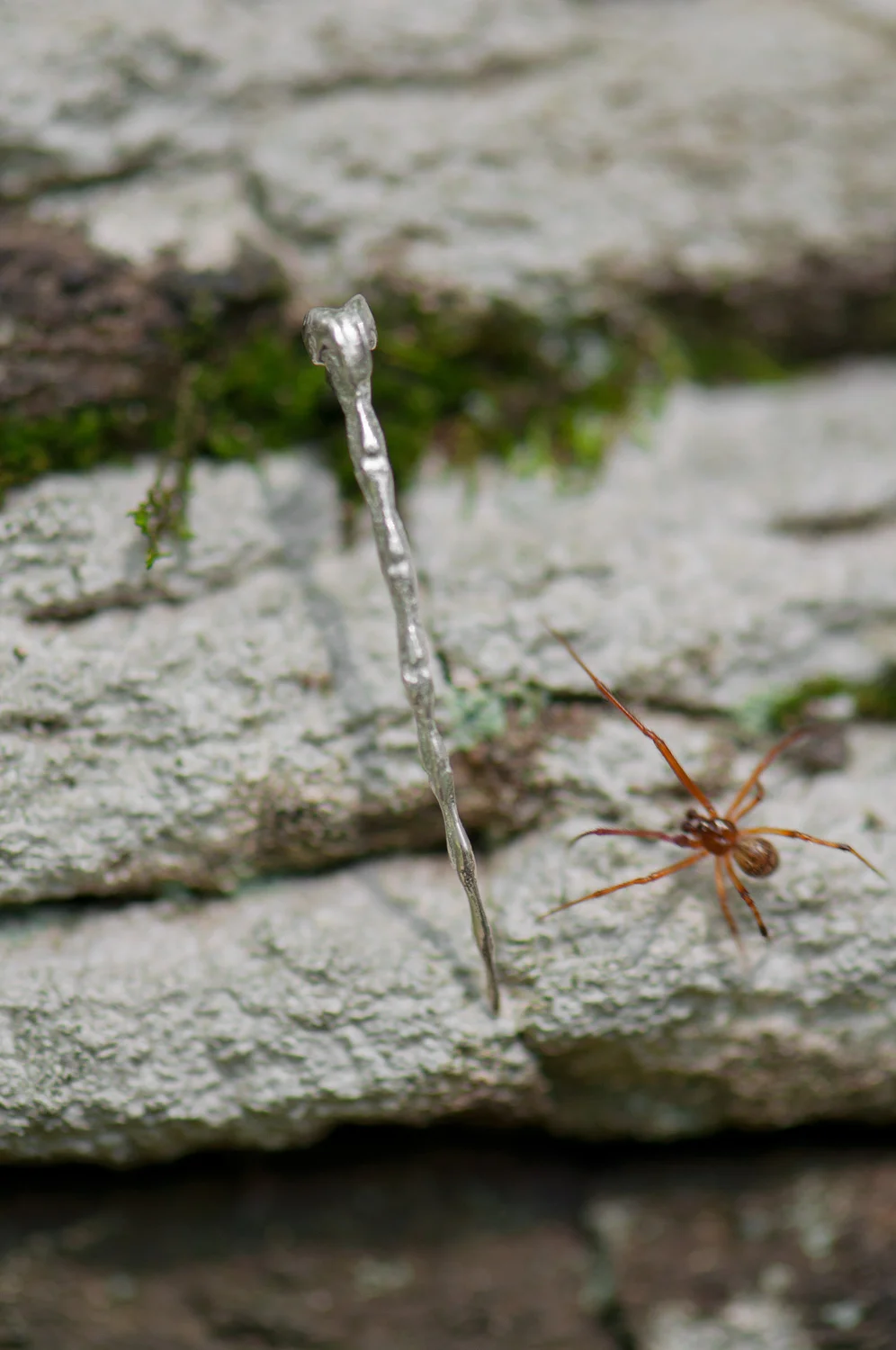 MT_SPINE_REF_OUTDOOR_001_0099.jpg
