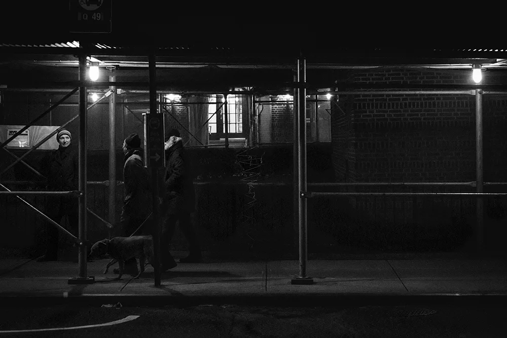 WalkingTheDog