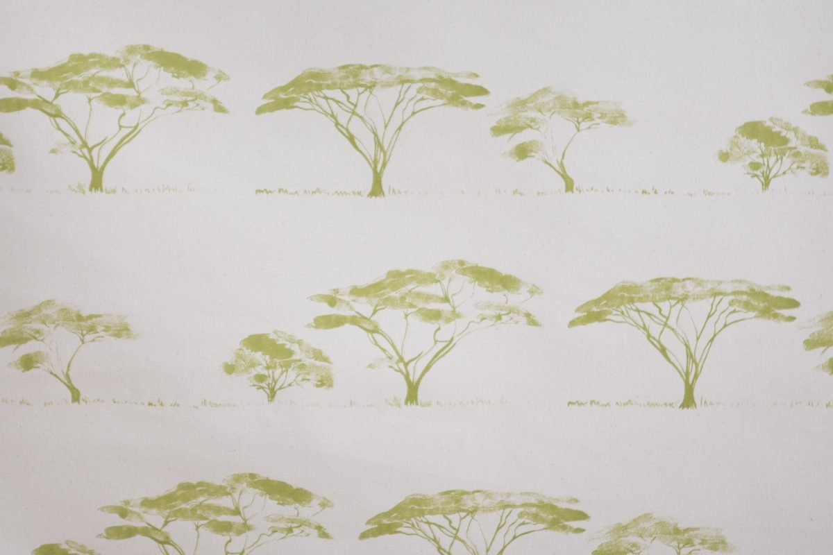 Botswana Trees