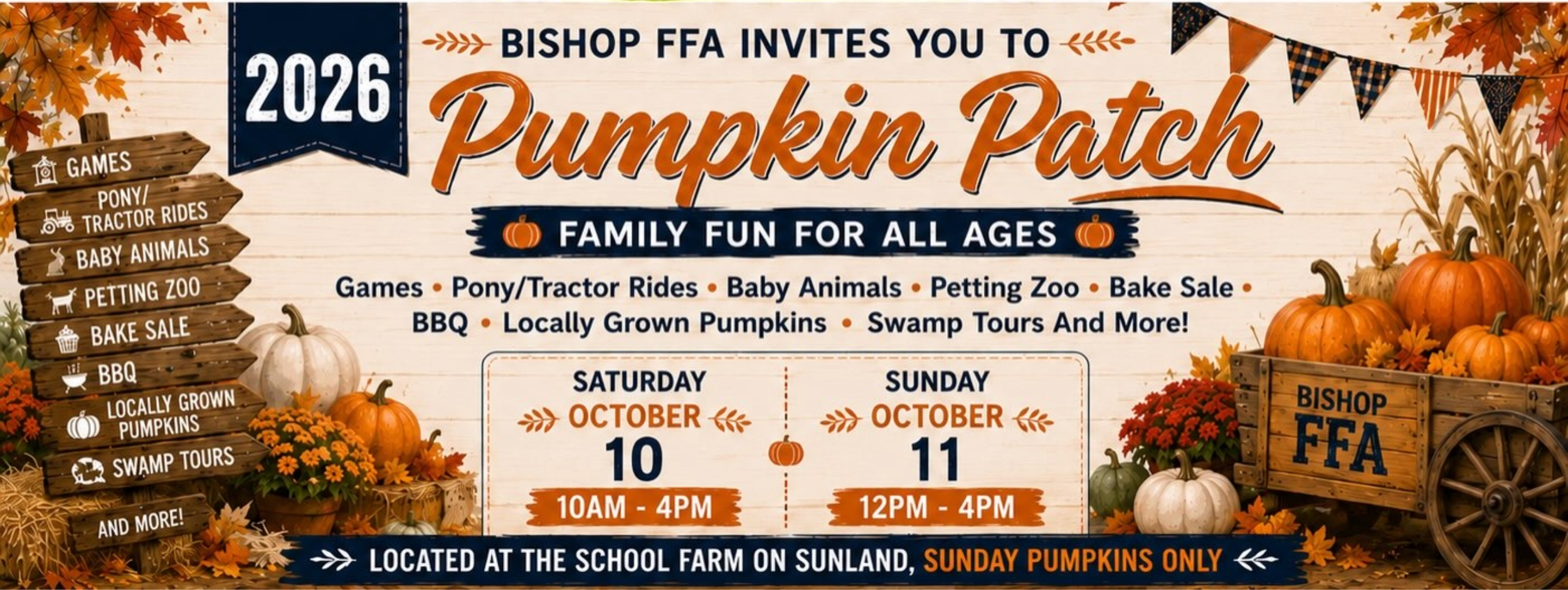 Pumpkin Patch
