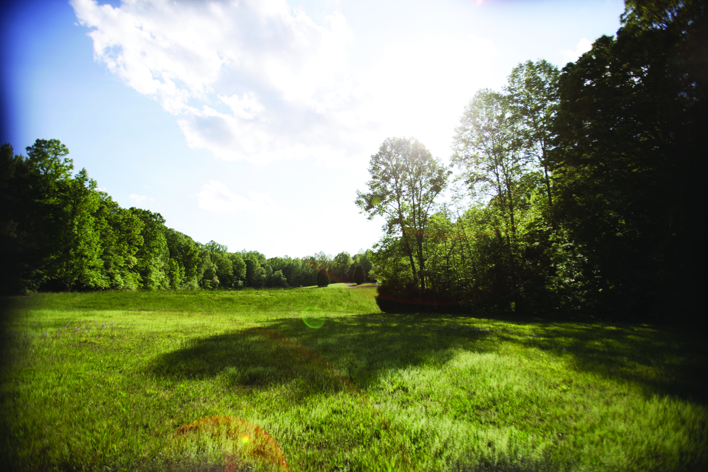 field2.jpg