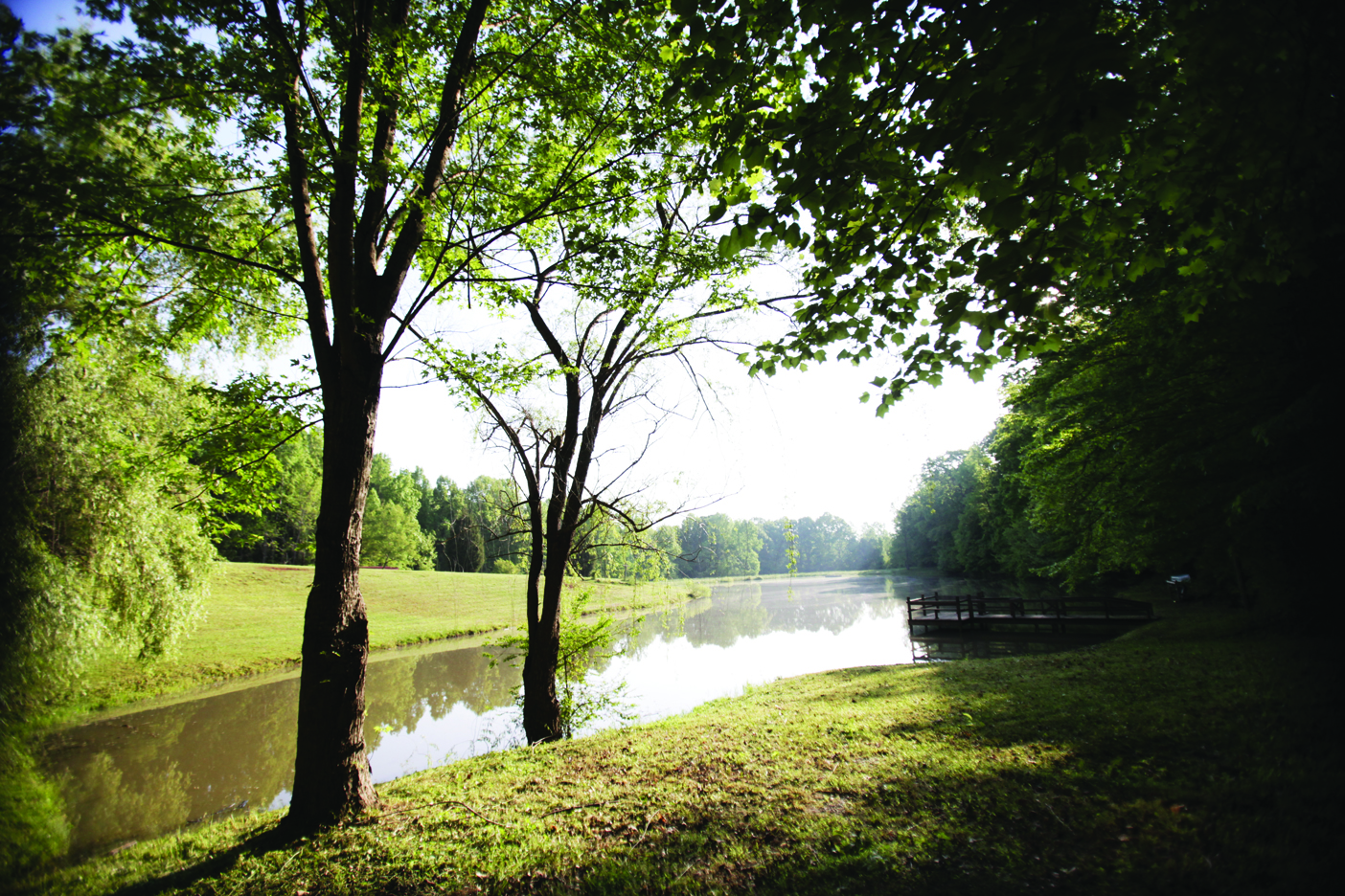 lake1.jpg
