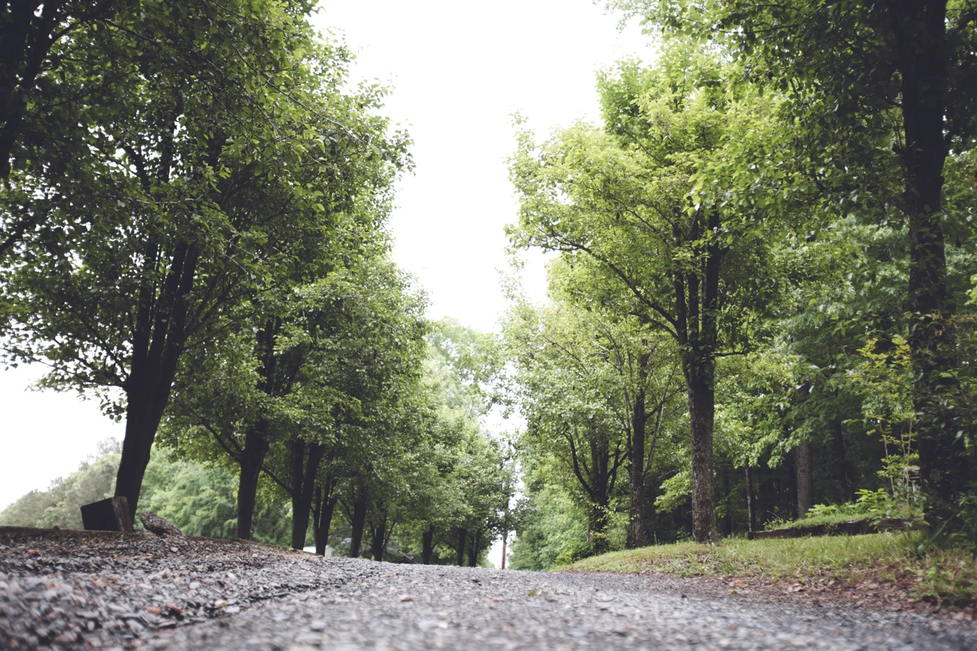 road.jpg