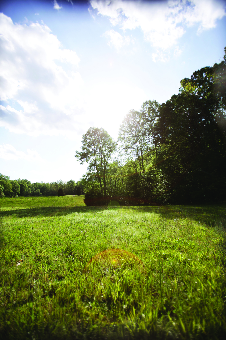 field1.jpg