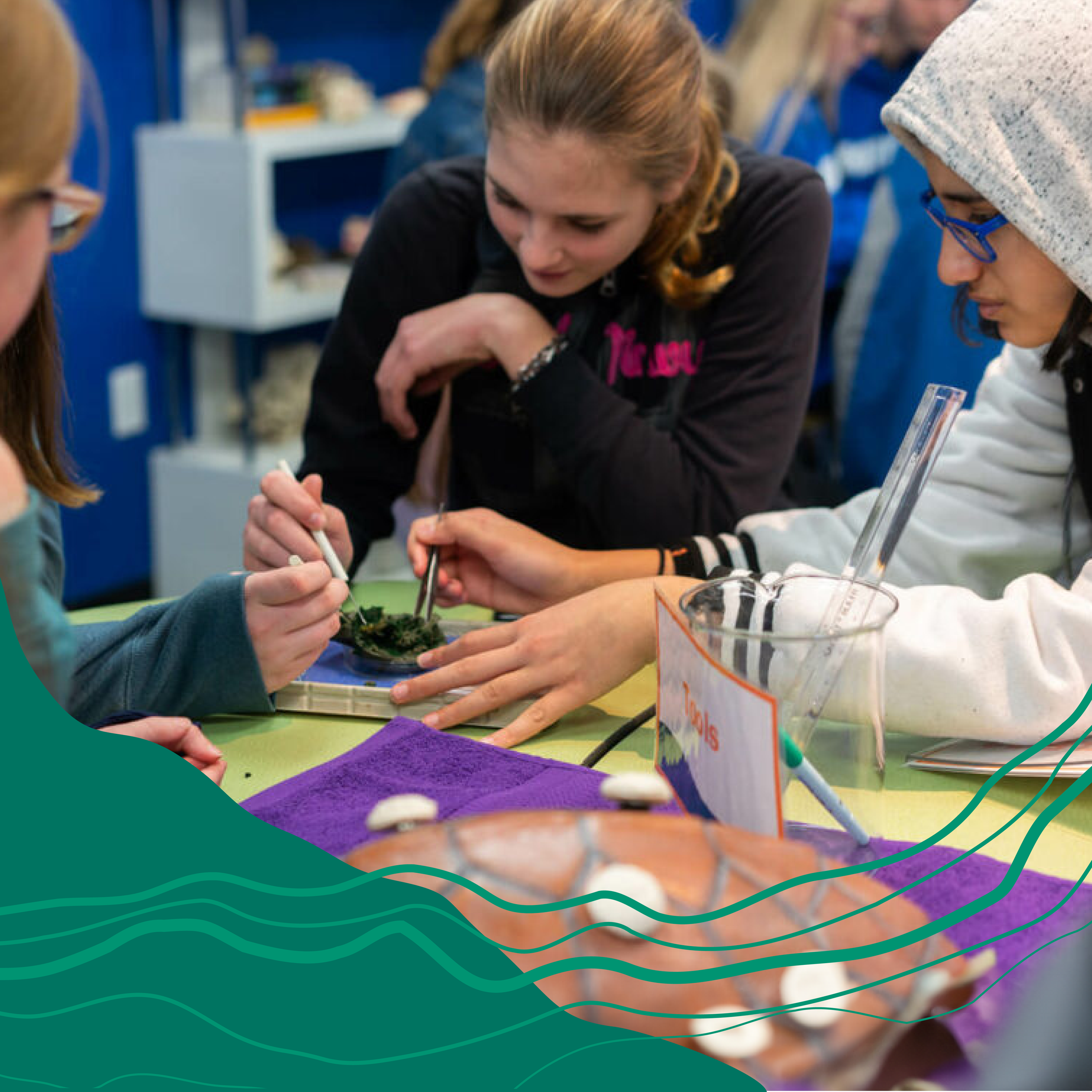 April RIO14097_Education_OrganicSocial__Artboard 8.png