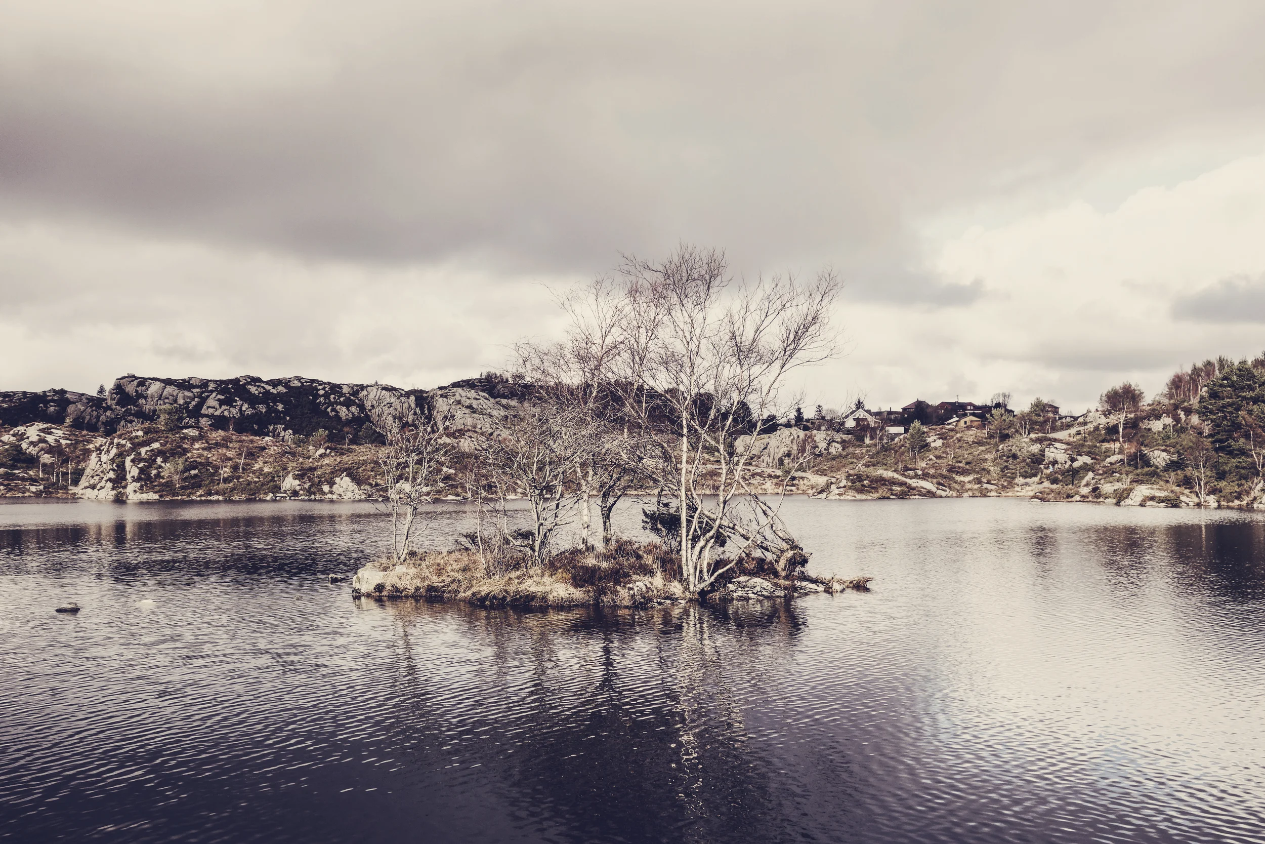 _DSC6563_C.jpg