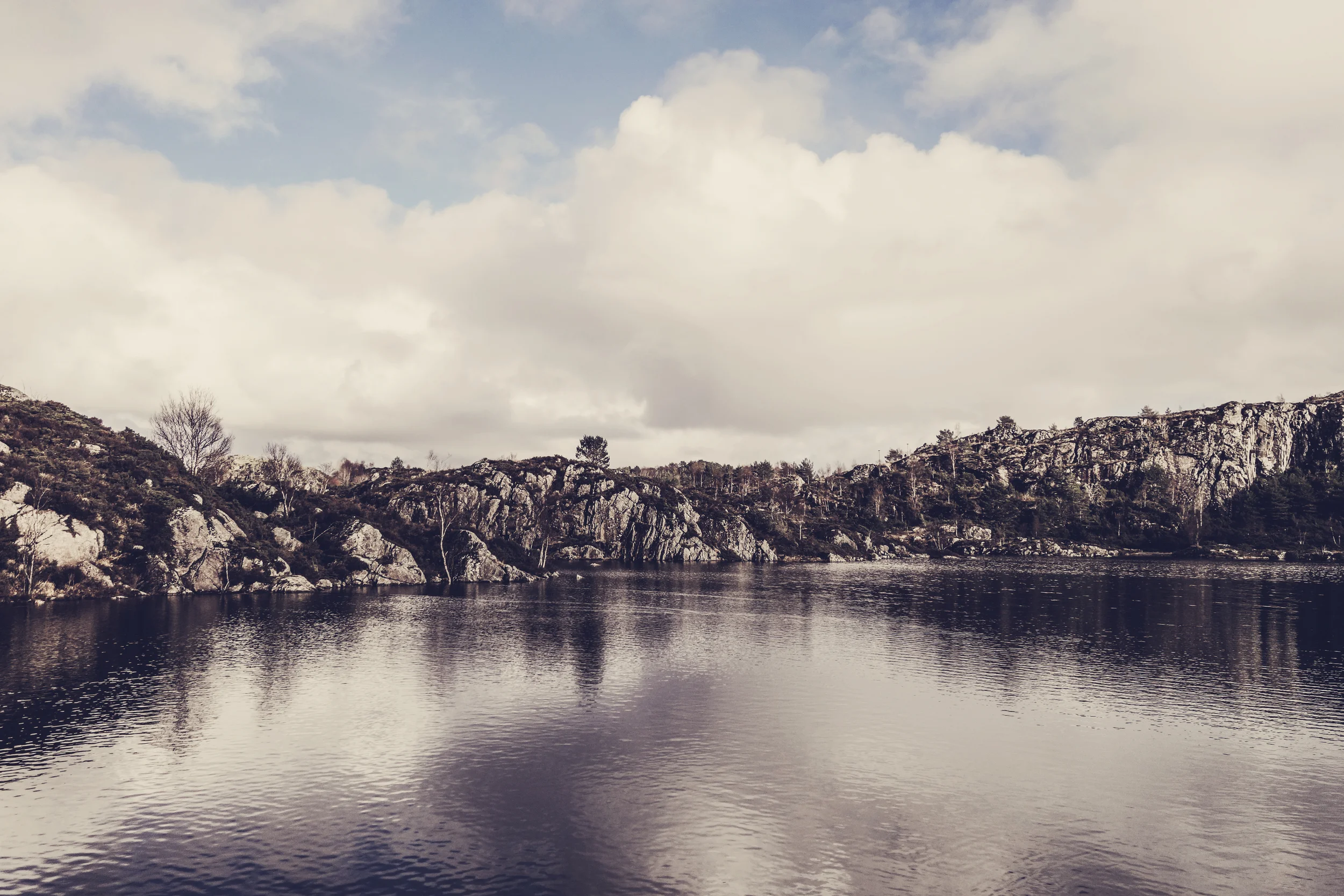 _DSC6556_C.jpg