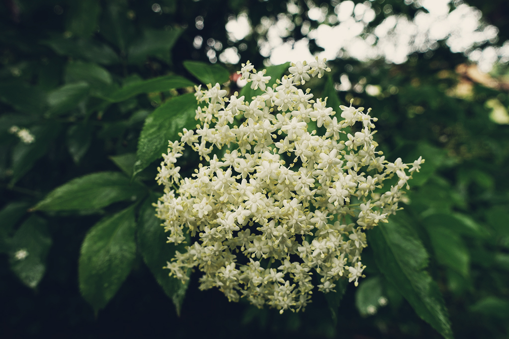 DSC04489_BLOG.jpg