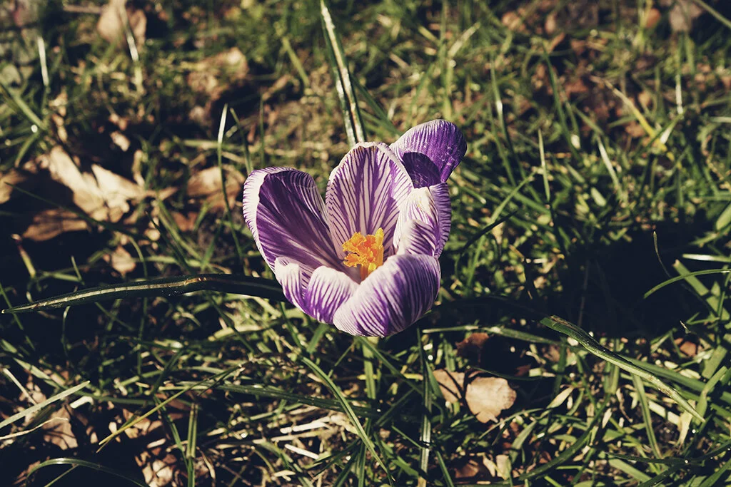 _DSC0238_CC.jpg