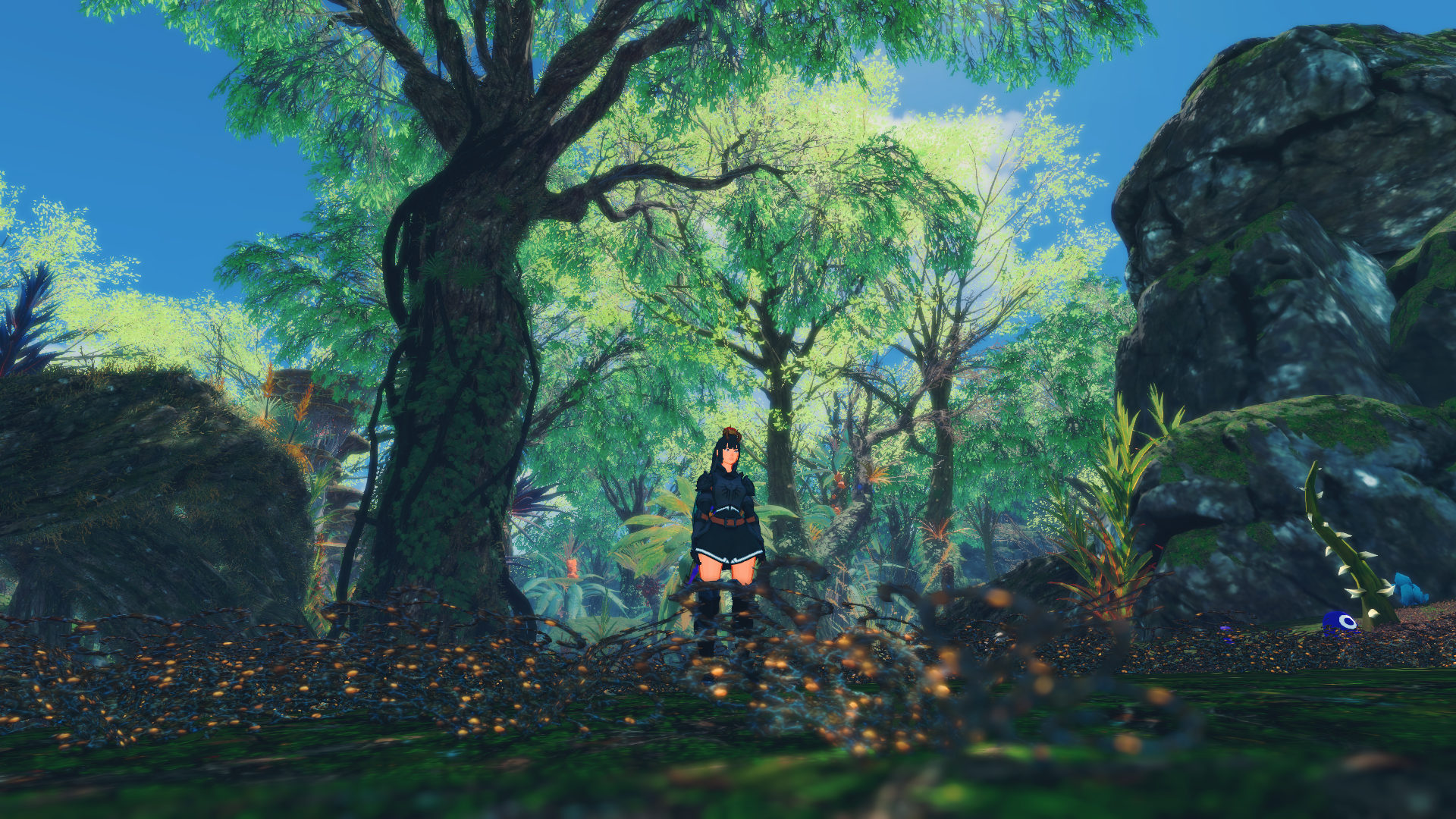 unknown (47).PNG