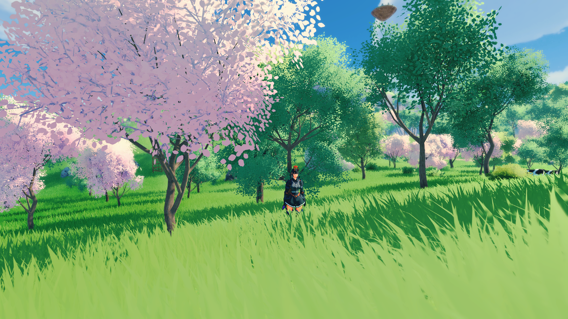 unknown (48).PNG